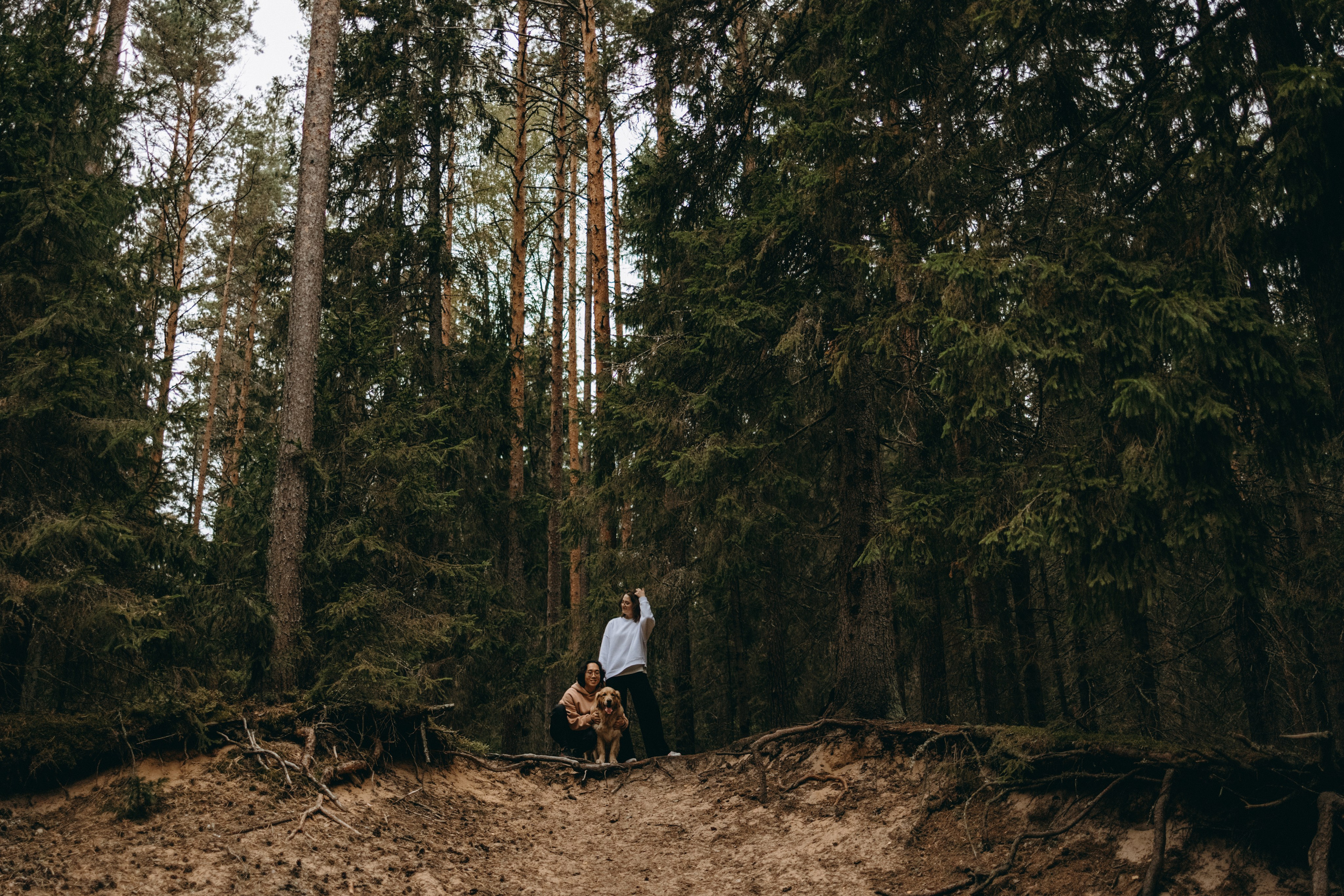 Фоси и его семьи. Фотограф — Анималист | Санкт-Петербург