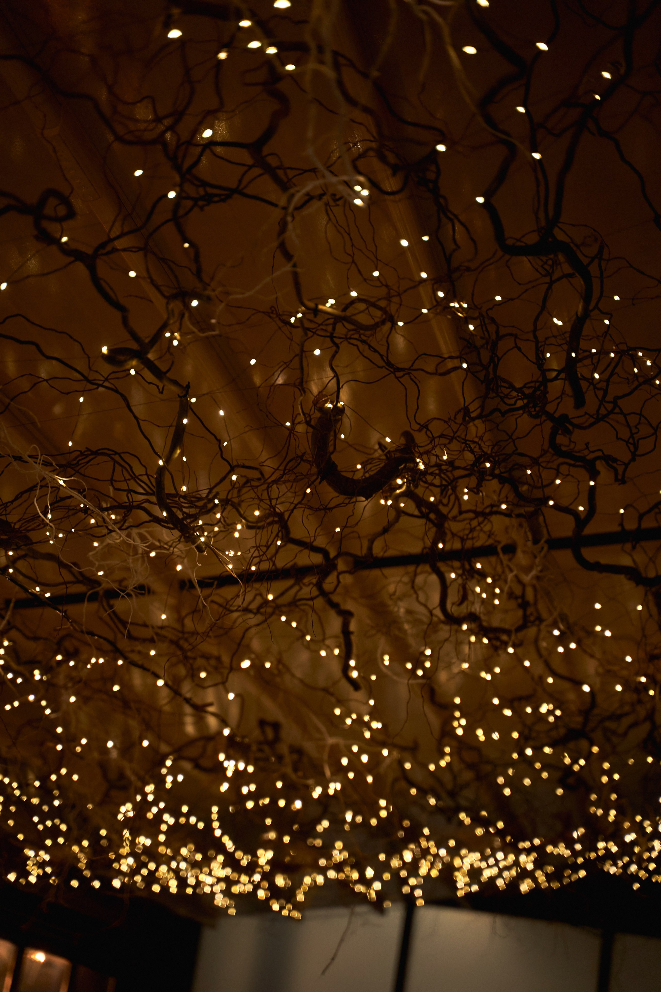 Светская съемка дня рождения 18 лет Камилле от ТВИНС СТУДИО. ТВИНС СТУДИО — лучшие свадебные фотографы и видеографы в Краснодаре