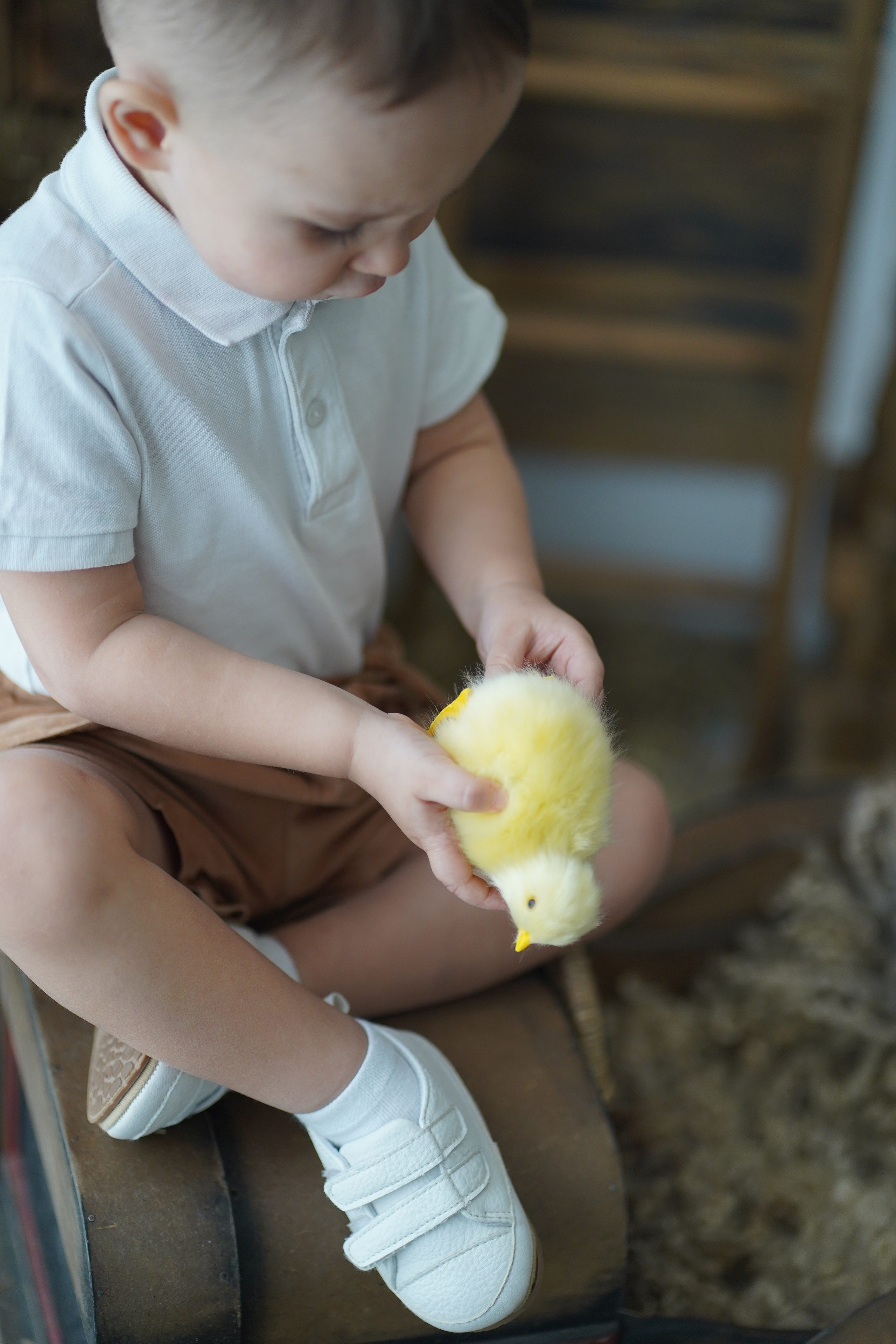 HB. Фотограф в Москве и МО