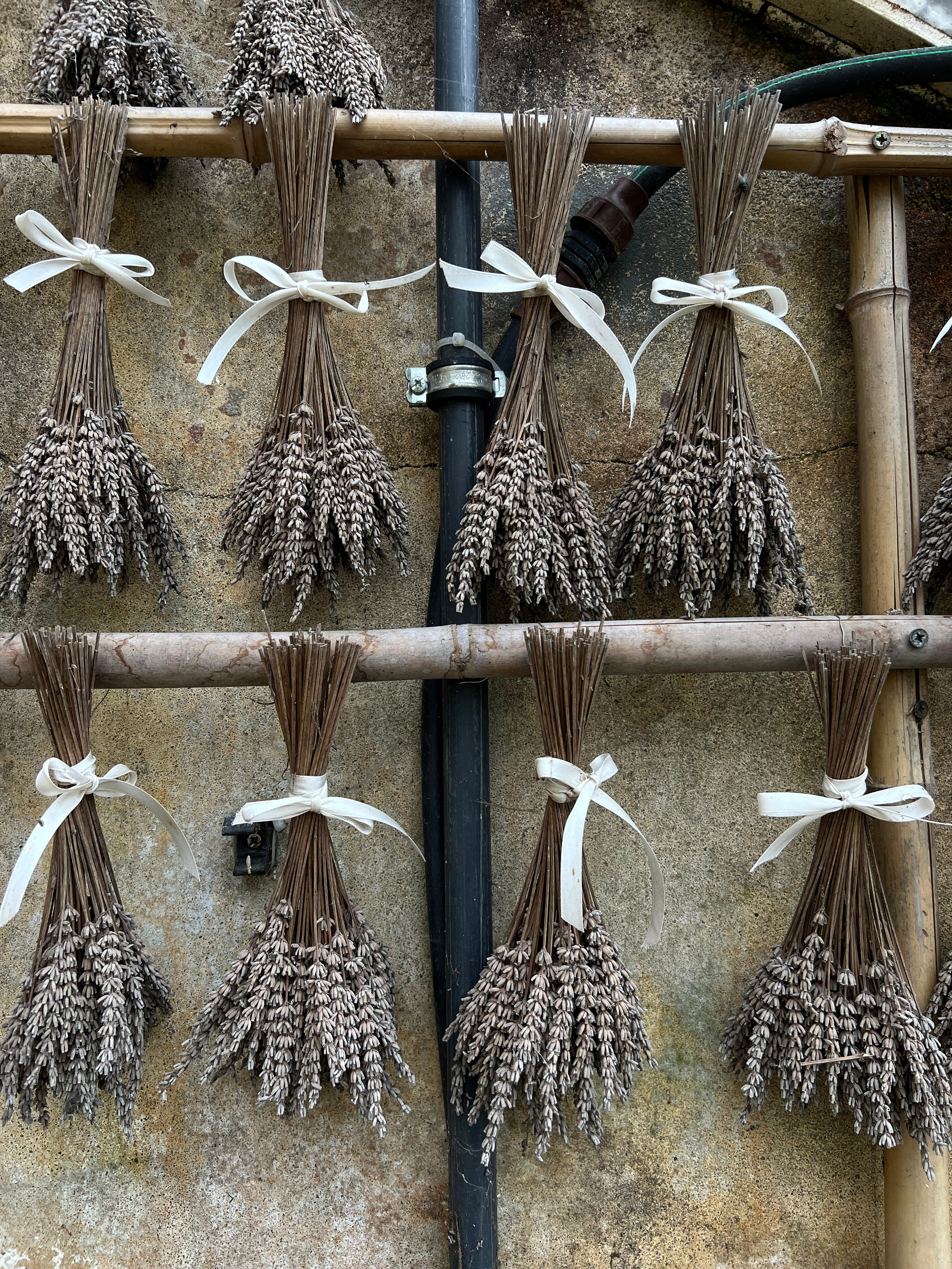 Wedding Content Creator 2026. Valeria Coconova Photographer Italy Como Milan