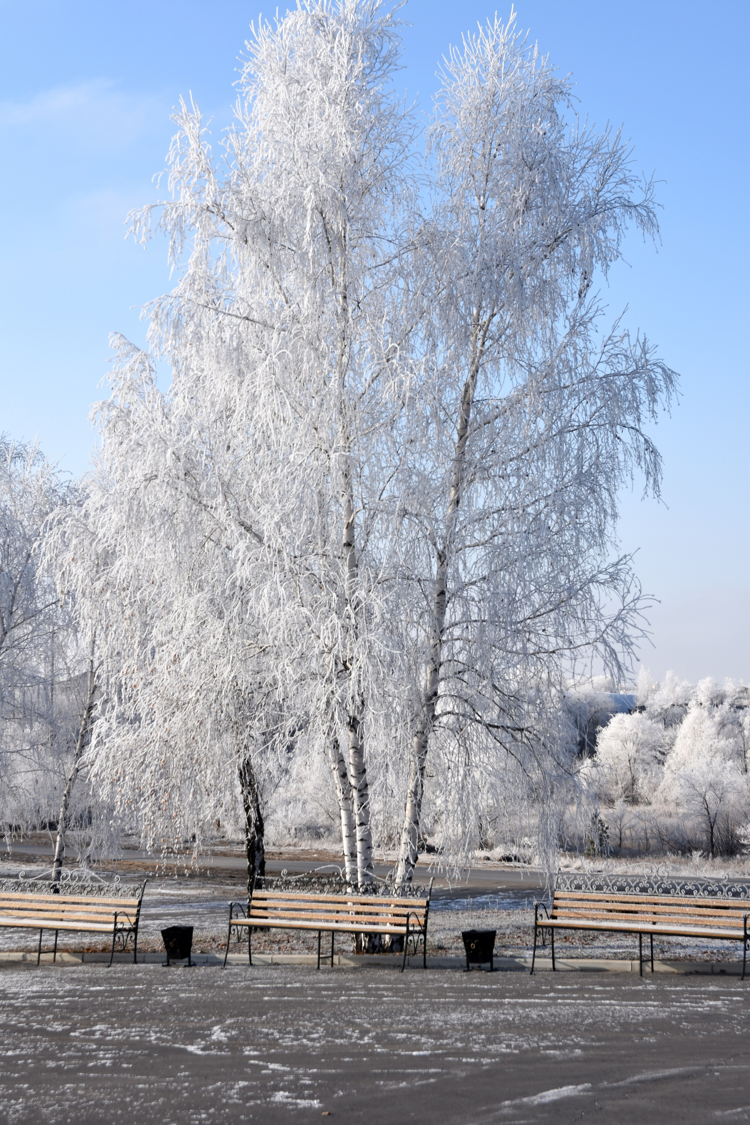 Все что тронуло, миниатюры. Созерцатель. фотографирую что тронуло и впечатлило. самарская область
