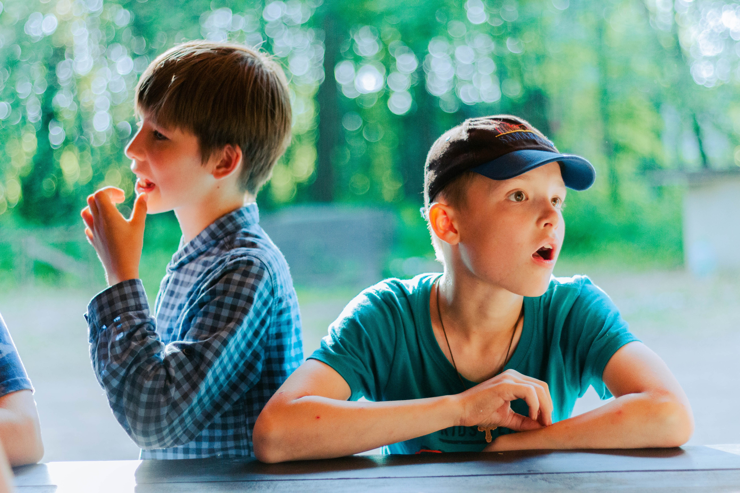 Мария Колесникова