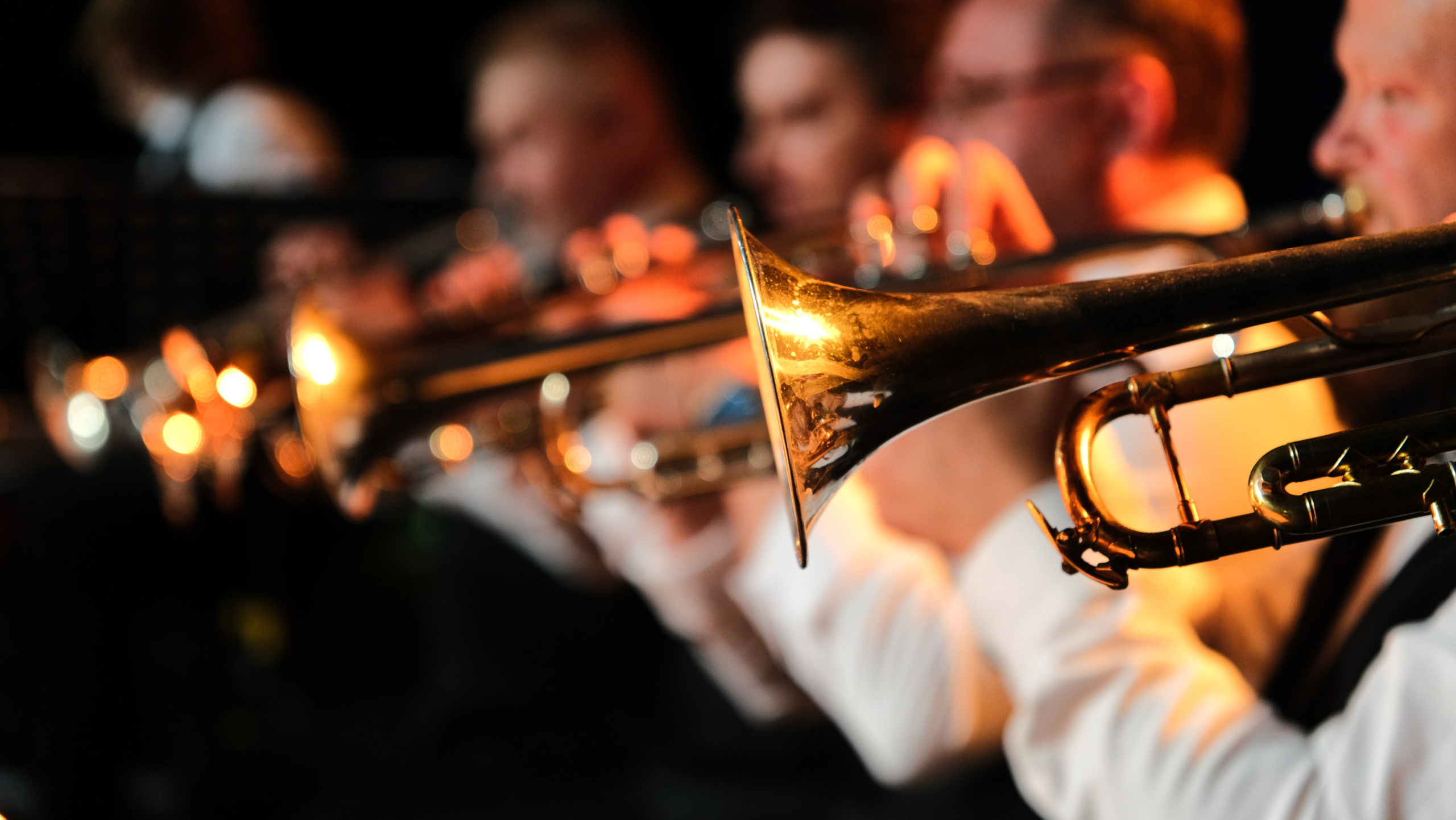 Фестиваль Джаза в Сочи. Фотограф Сочи Евгений Соколов