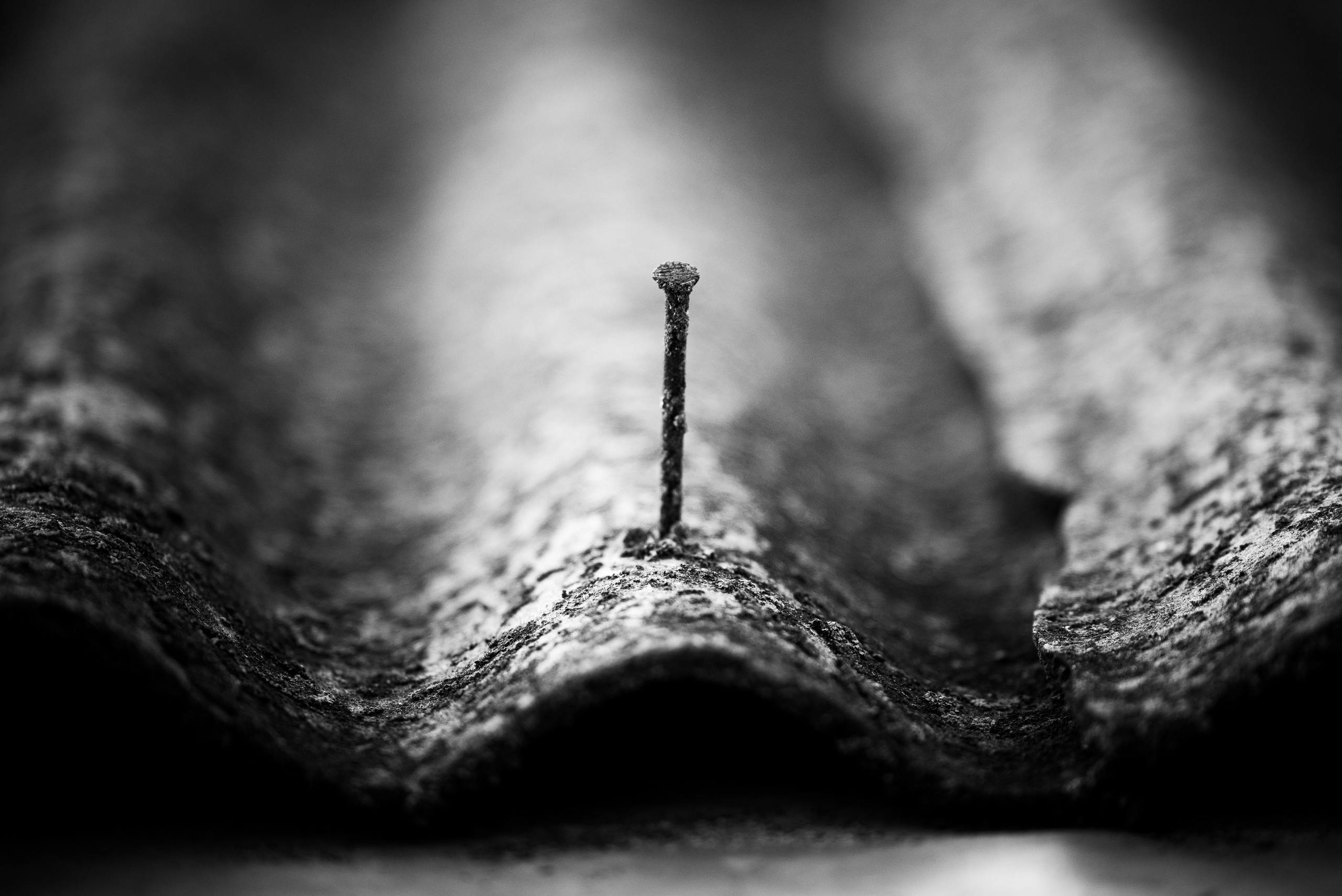 Деревня / Юг. Фотограф Антон Денисенко: Портрет, Документалистика, Пейзаж. Москва