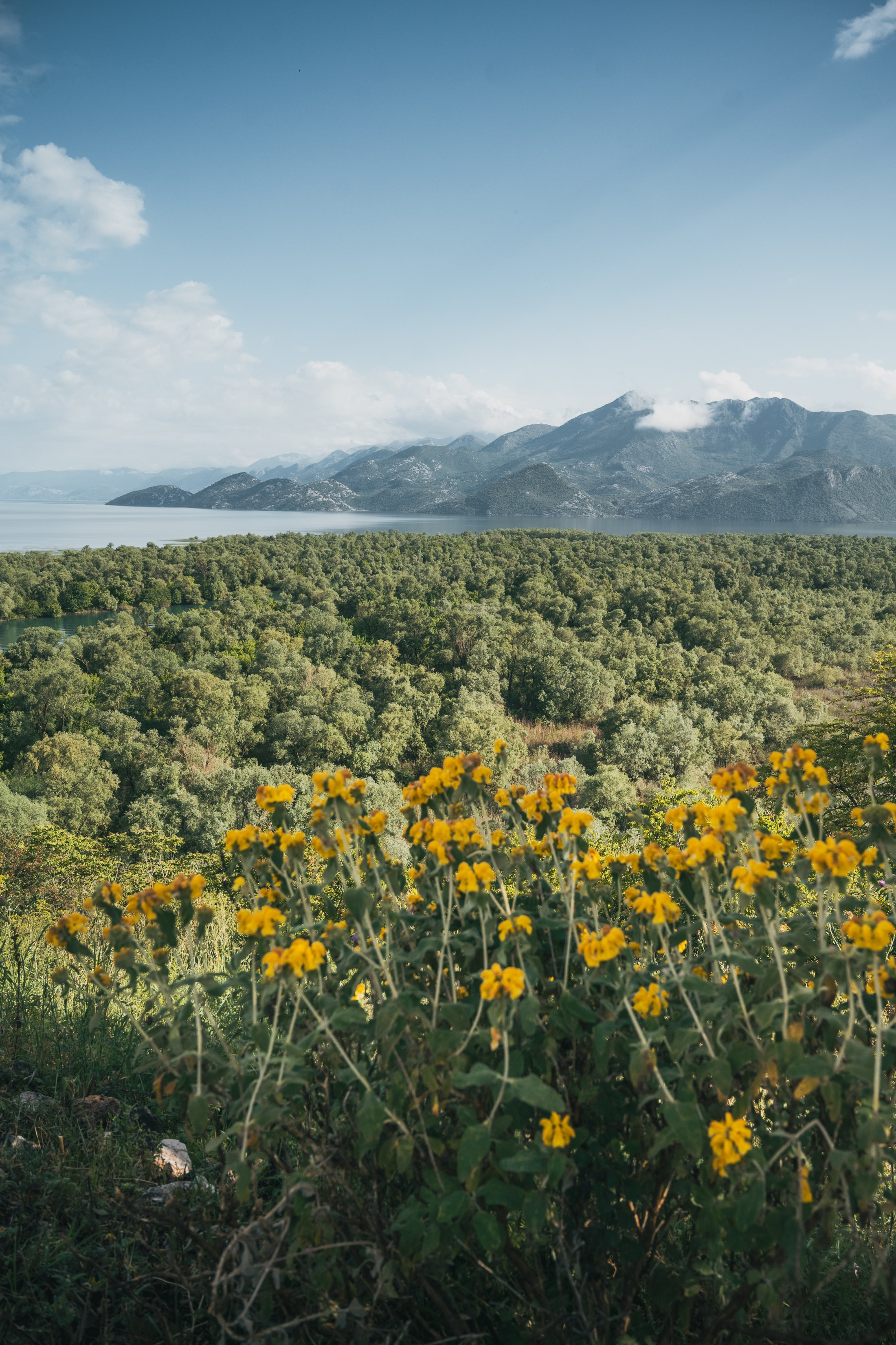 СКАДАРСКОЕ ОЗЕРО. ЧЕРНОГОРИЯ. Фотограф в Белграде Чугреева Елена