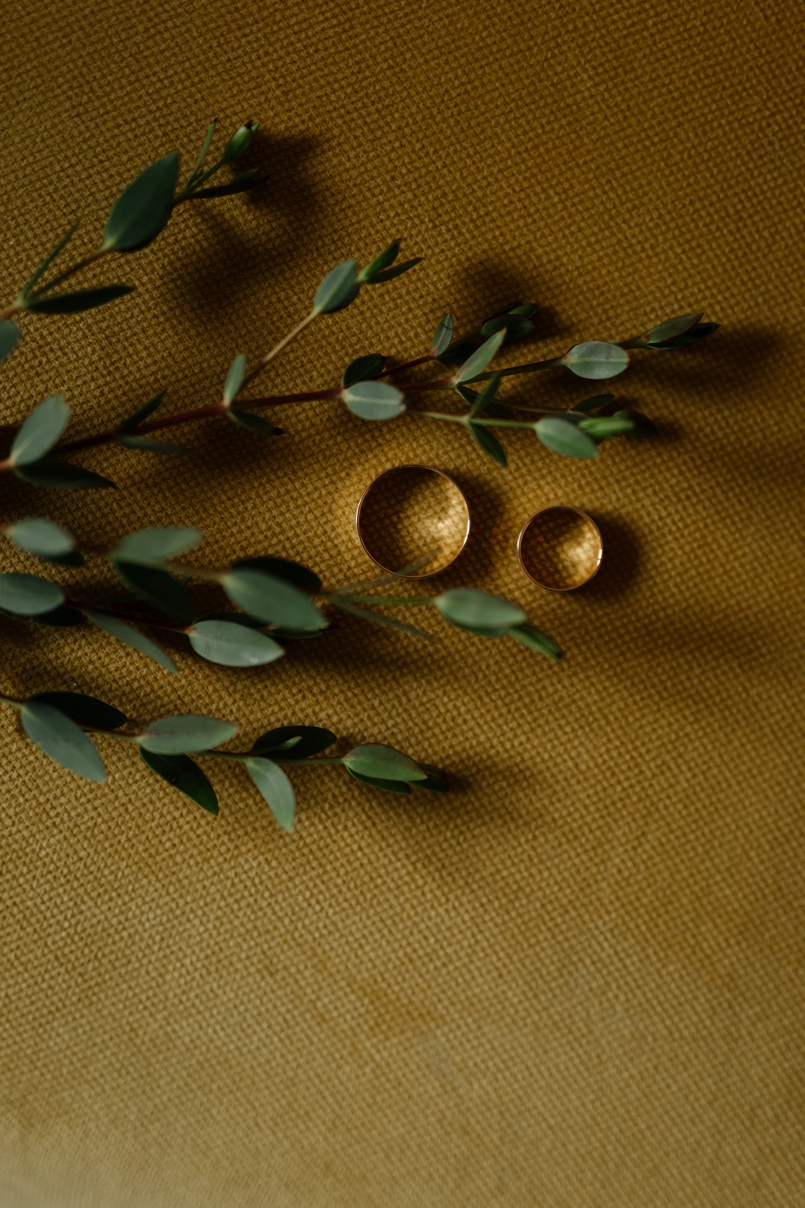 Свадьба Павла и Анастасии. Фотограф Кольчугино/Владимир/Москва Елизавета Иода