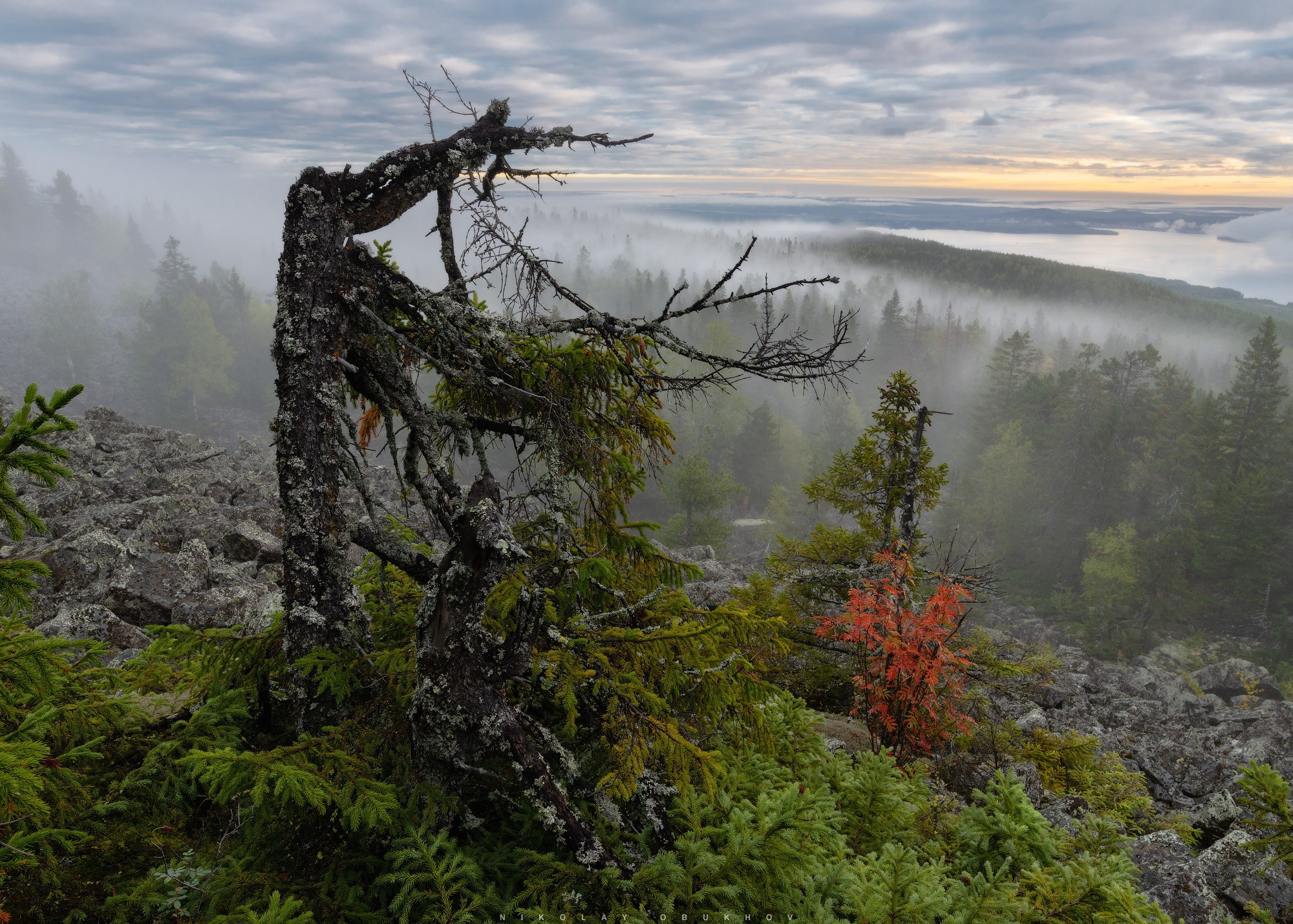 Атмосфера и свежий воздух осени на Белой горе, туман поднимается над осенним лесом.