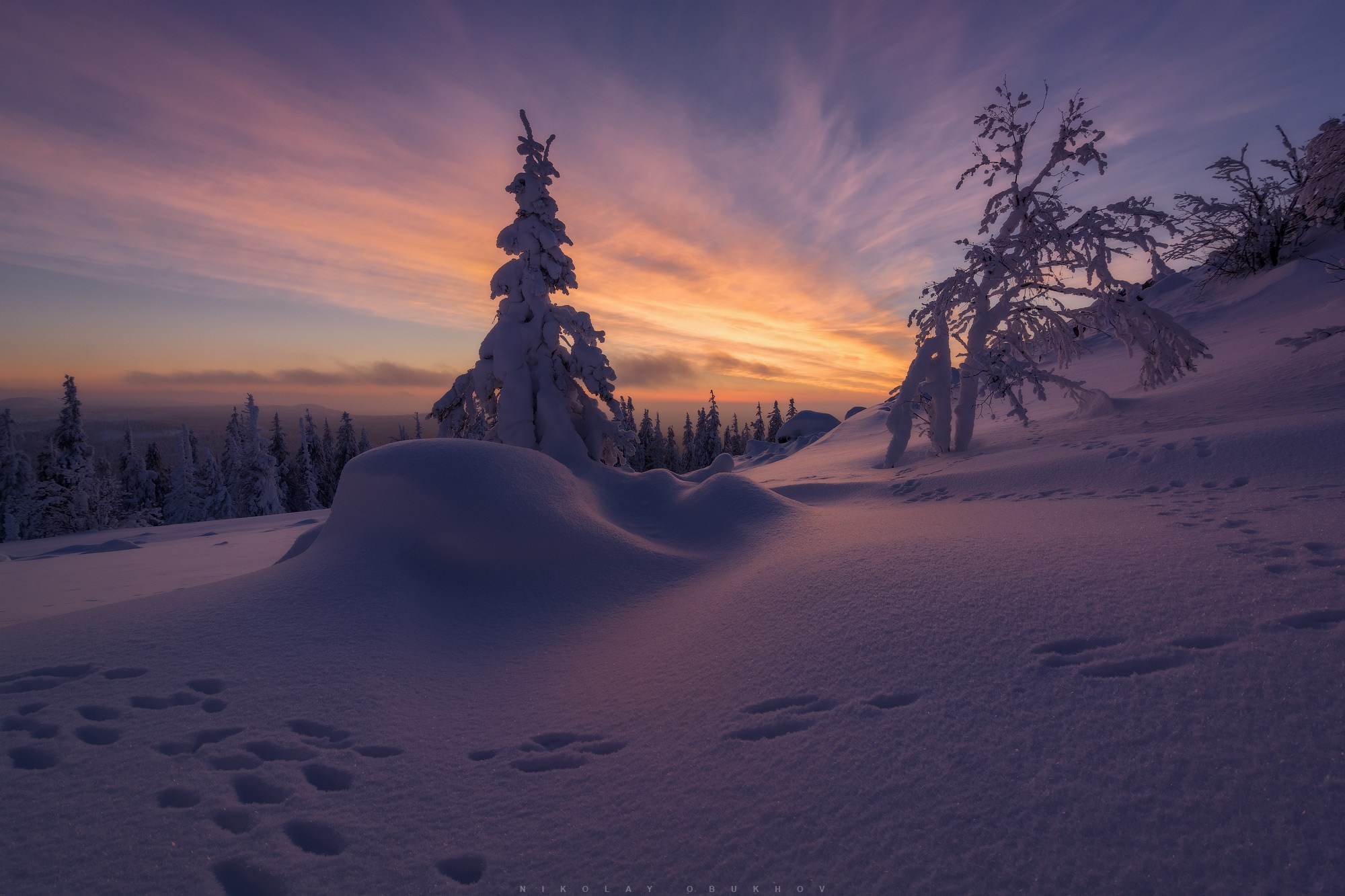 В сумерках зимнего леса мягкий свет окрашивает снежные вершины Белой горы.
