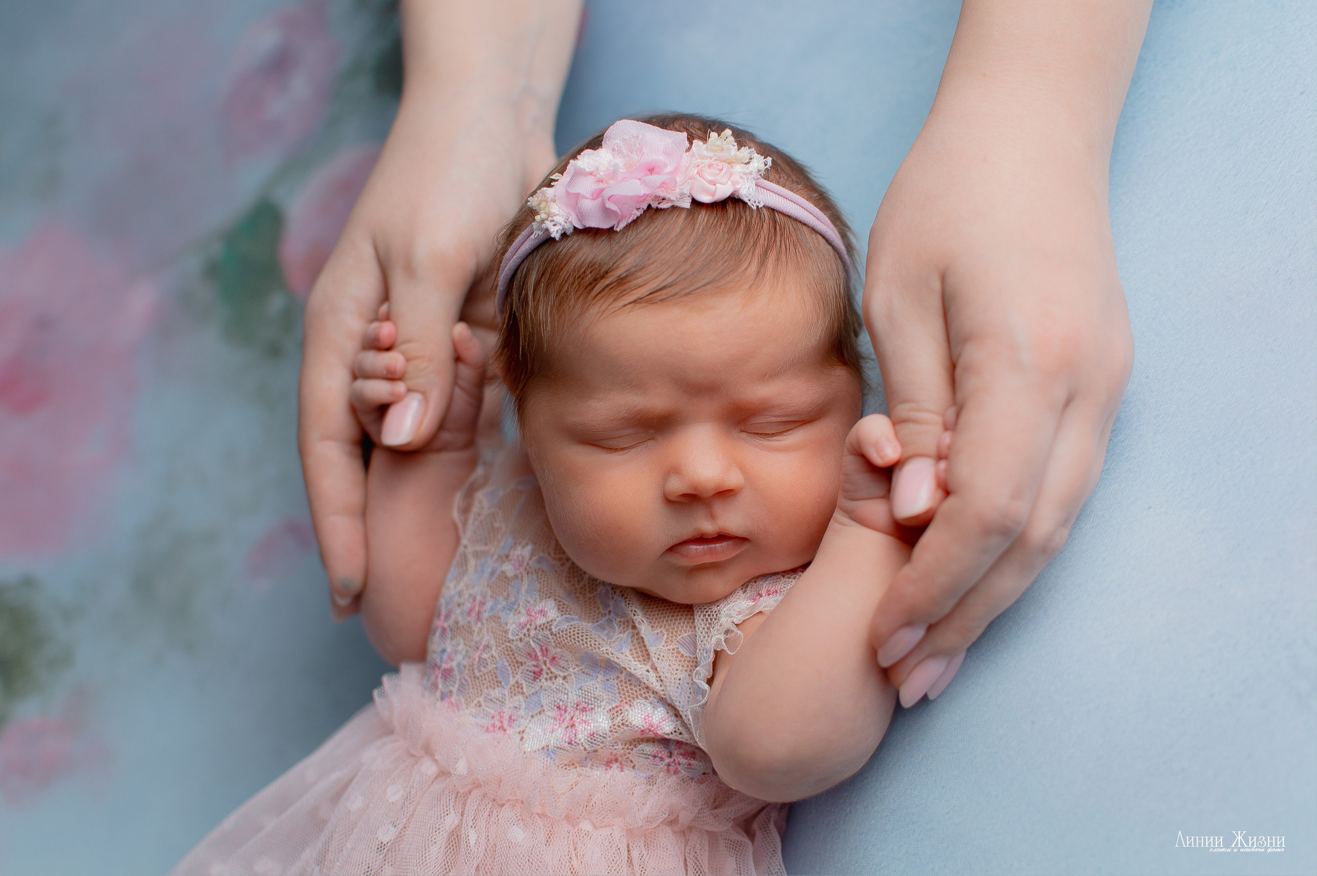 Ксения 7 дней. Фотограф новорожденных в Нижнем Новгороде Сергеева Оксана