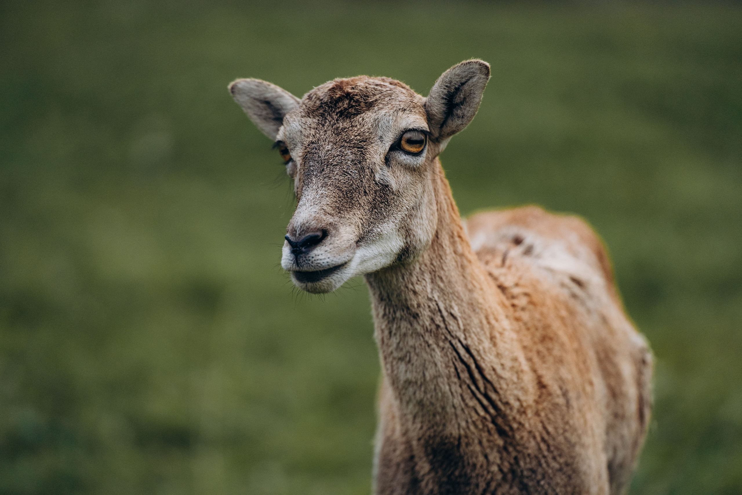 СЕВЕР. Event фотограф Степанова Александра