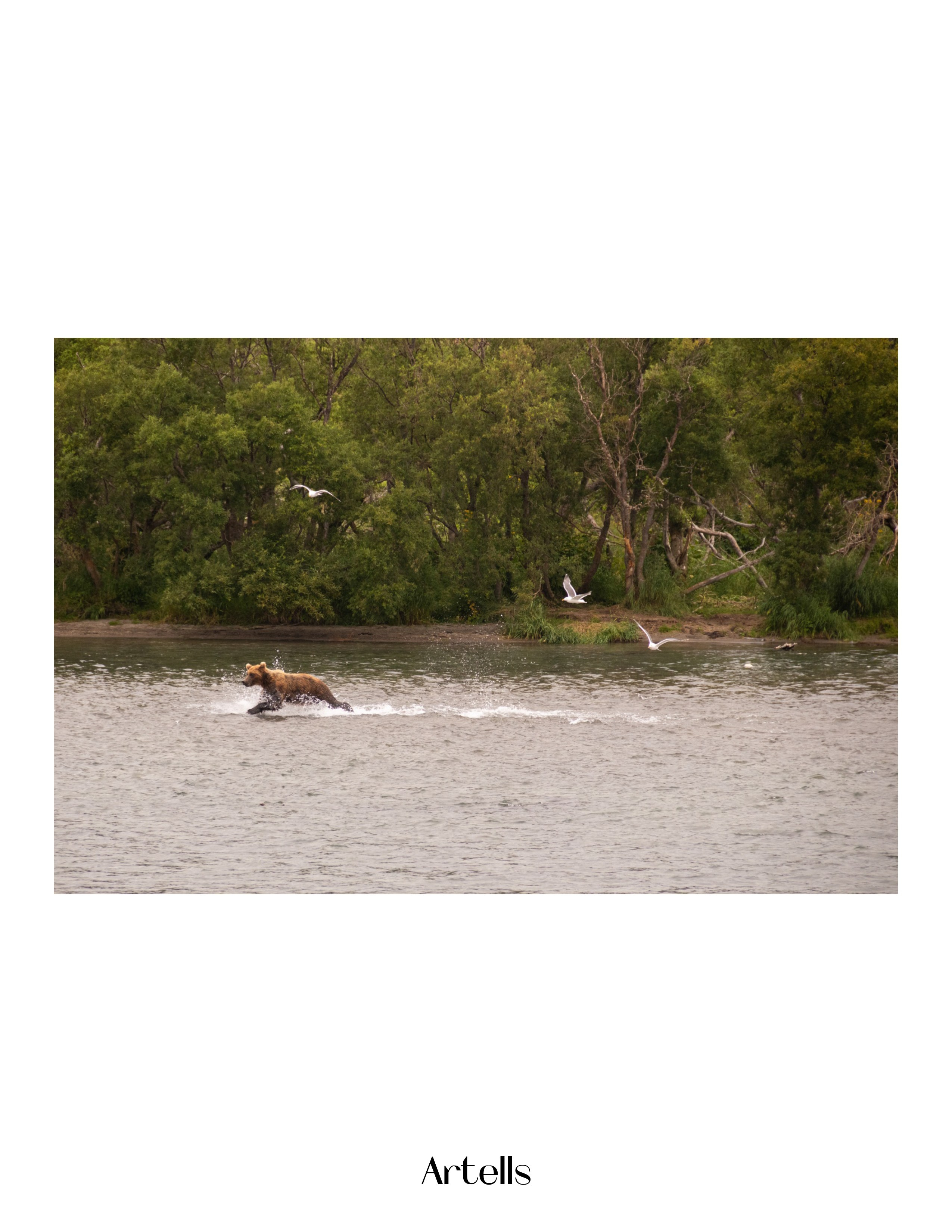 Журнал Artells. Kamchatka peninsula. Наталия Фролова. Фотограф. Москва