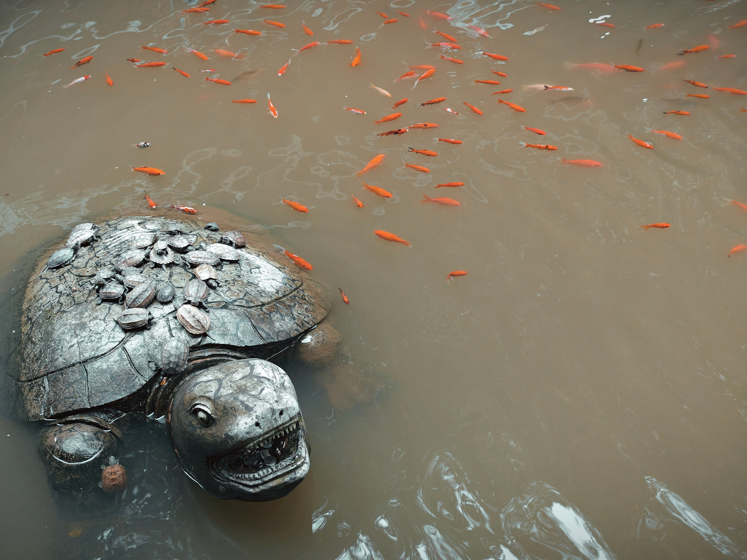 The Great Journey to China. Brjankin.com