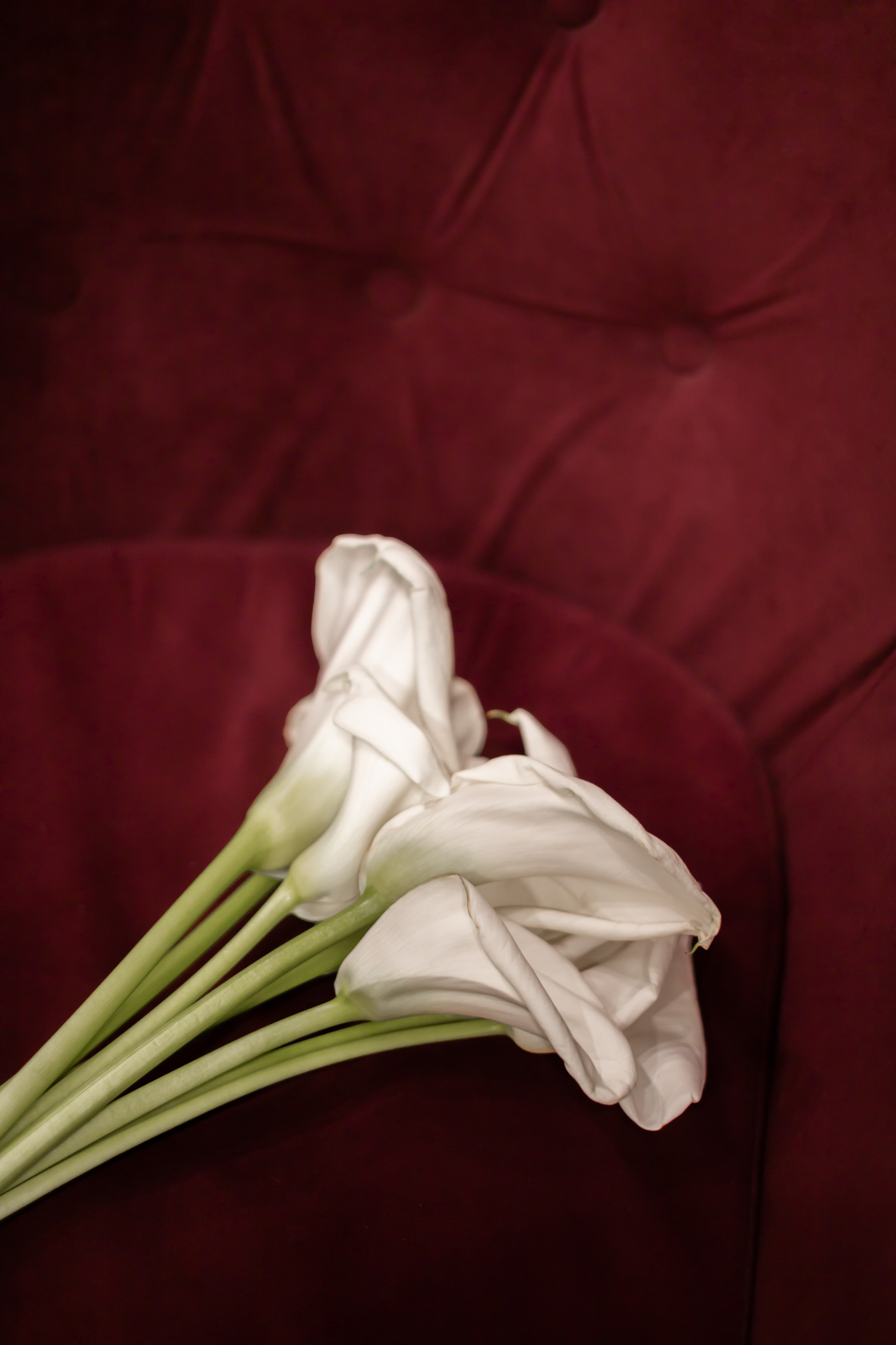 Анна+Алексей. Фотограф Элла Ефимова