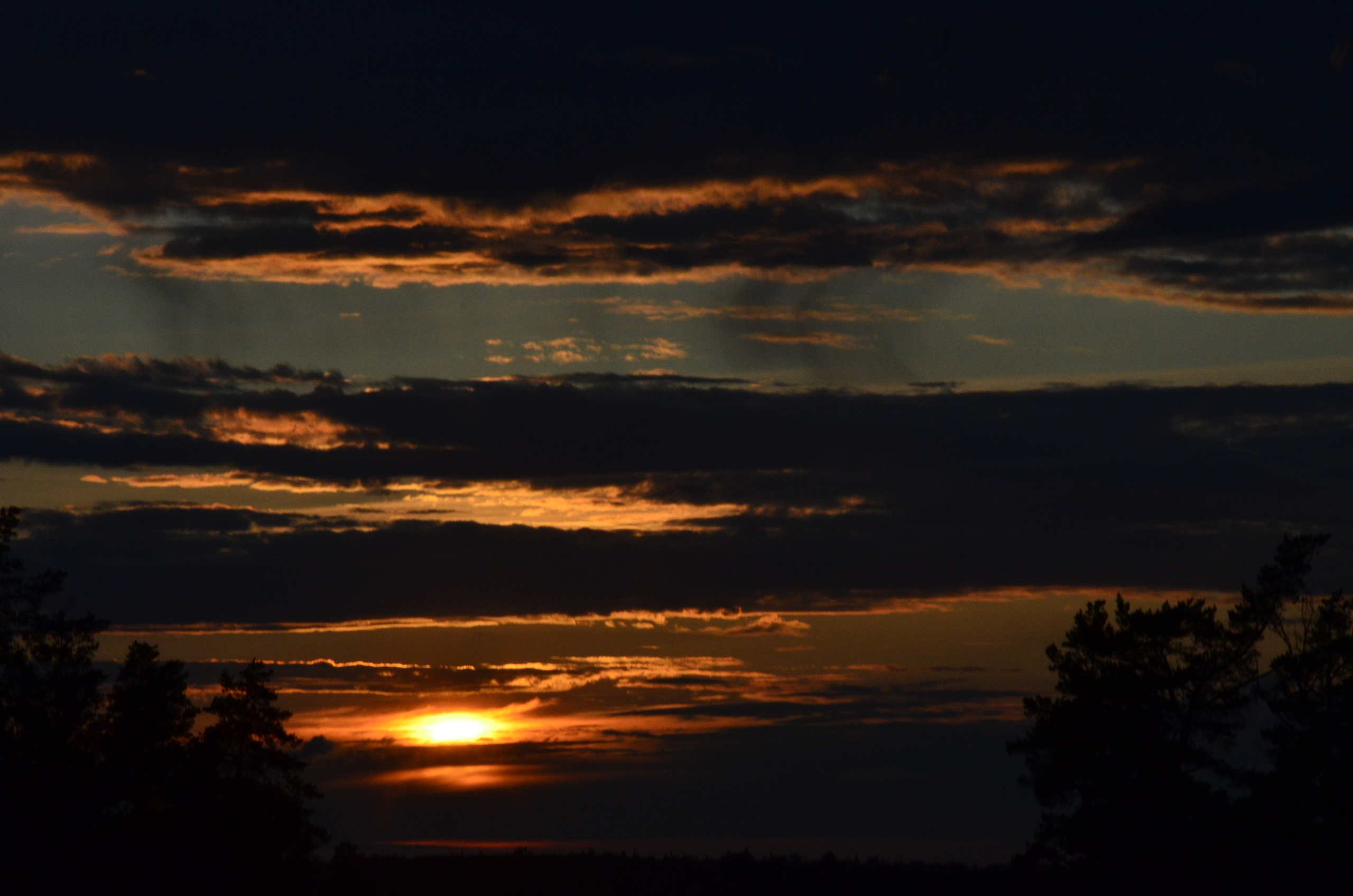 Дары природы. Фотограф viktor viktor