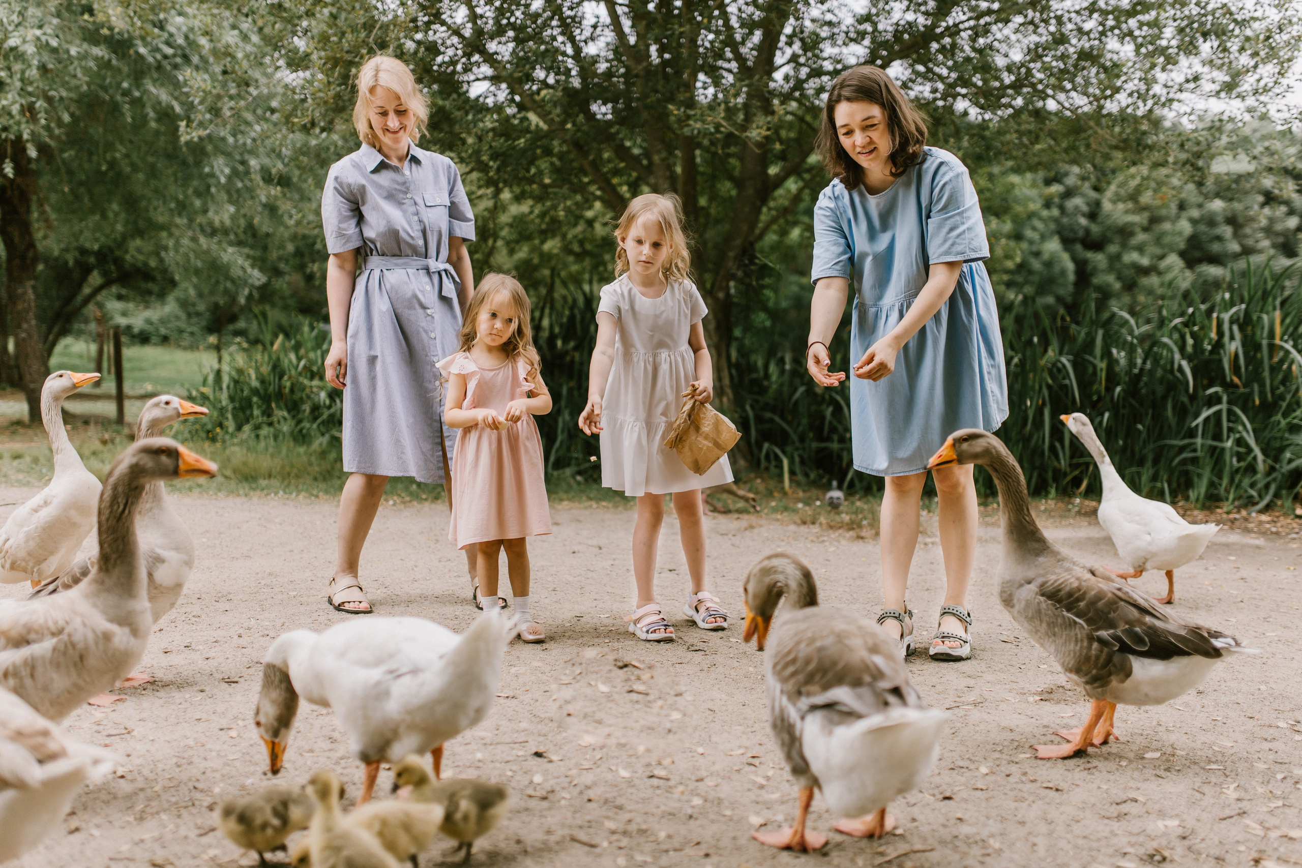 Juli. Wedding and family photographer OLGA KILVEIN