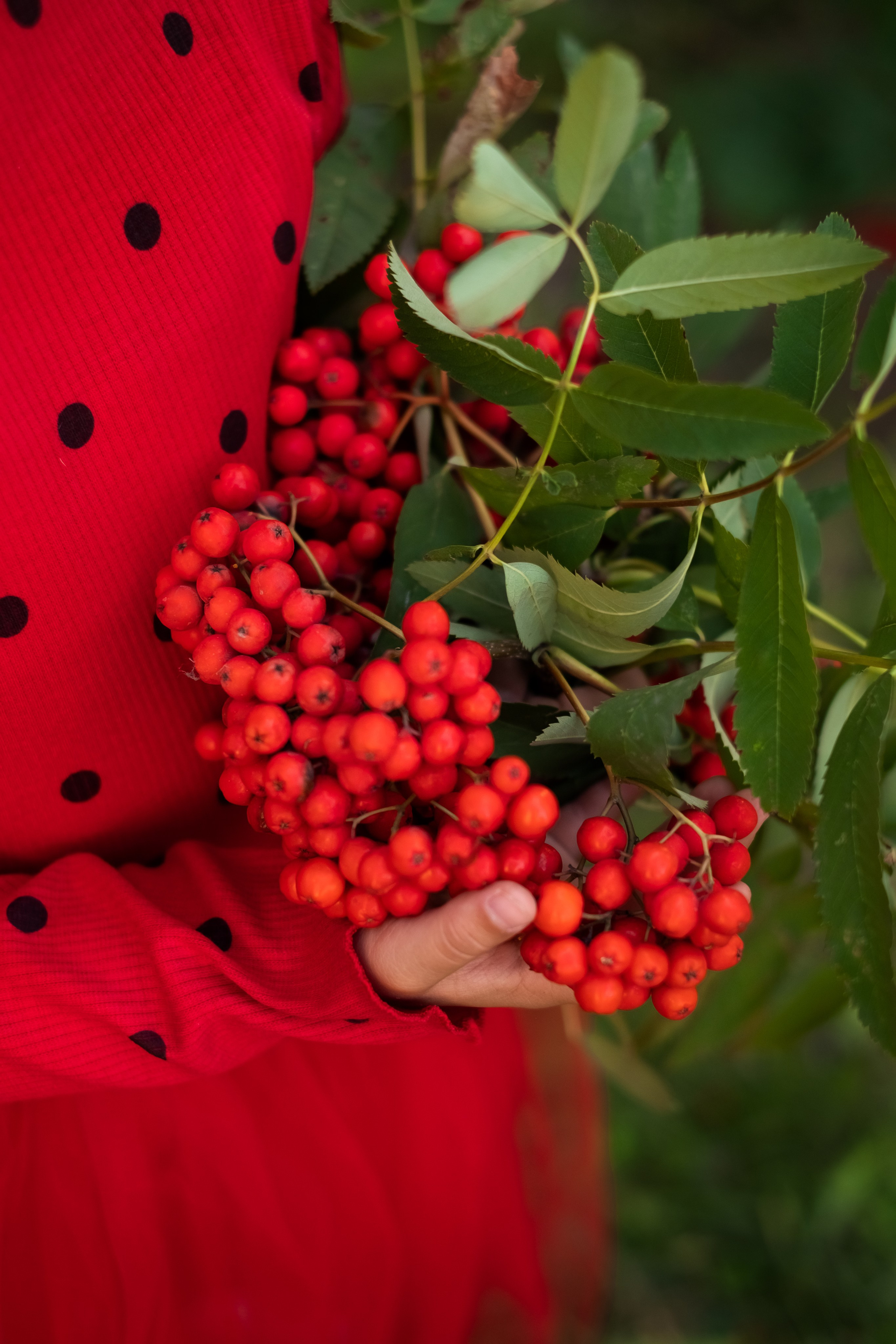 Ягодка. Семейный и детский фотограф в Мелитополе /Наталья Зацеркляная