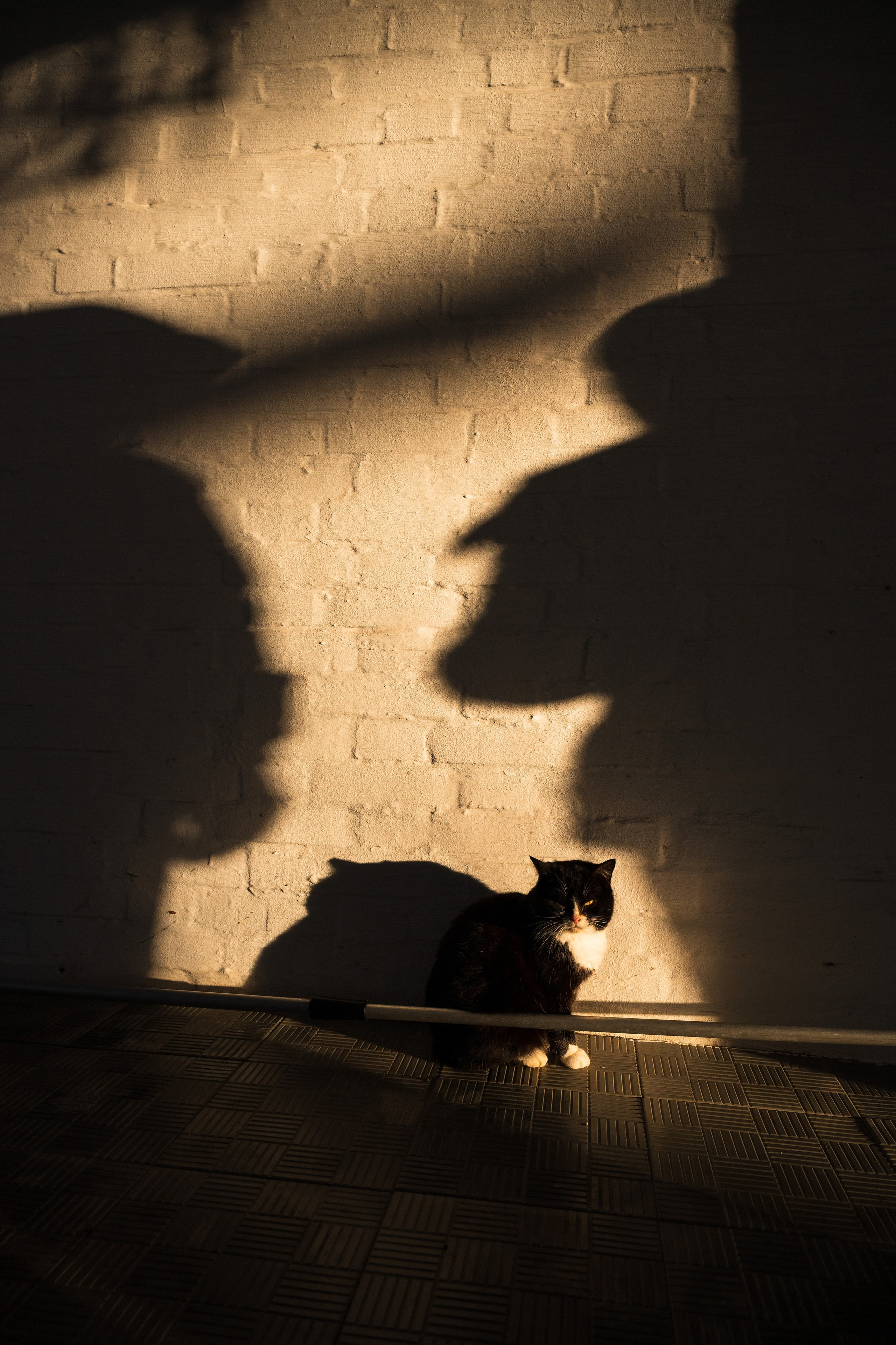 Добринский монастырь, Суворовский район. Фотограф и видеооператор в Туле | Даниил Рыбак