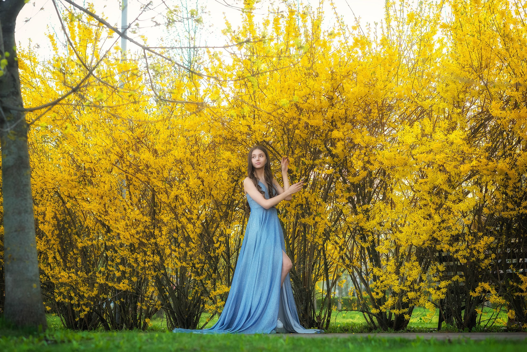 Портрет в Форзиции. Женский фотограф Крещение Венчание Москва Брянск