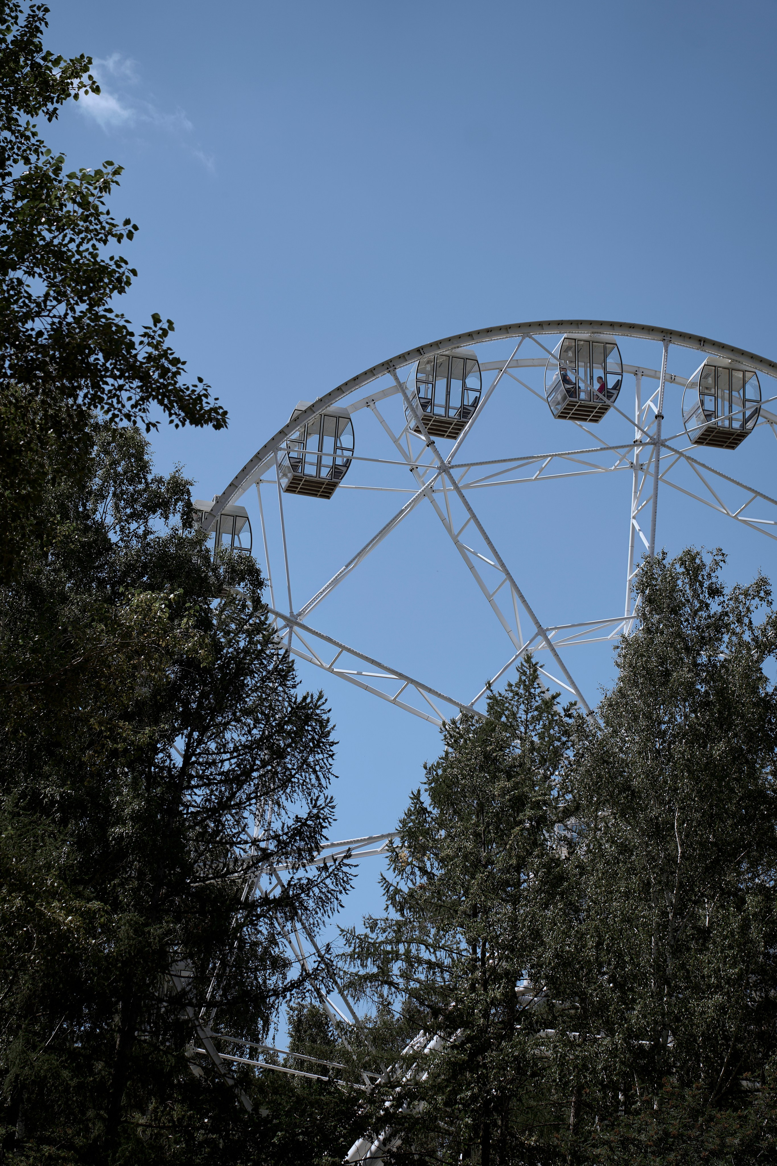 Годик. Ваш фотограф Анастасия Болотникова
