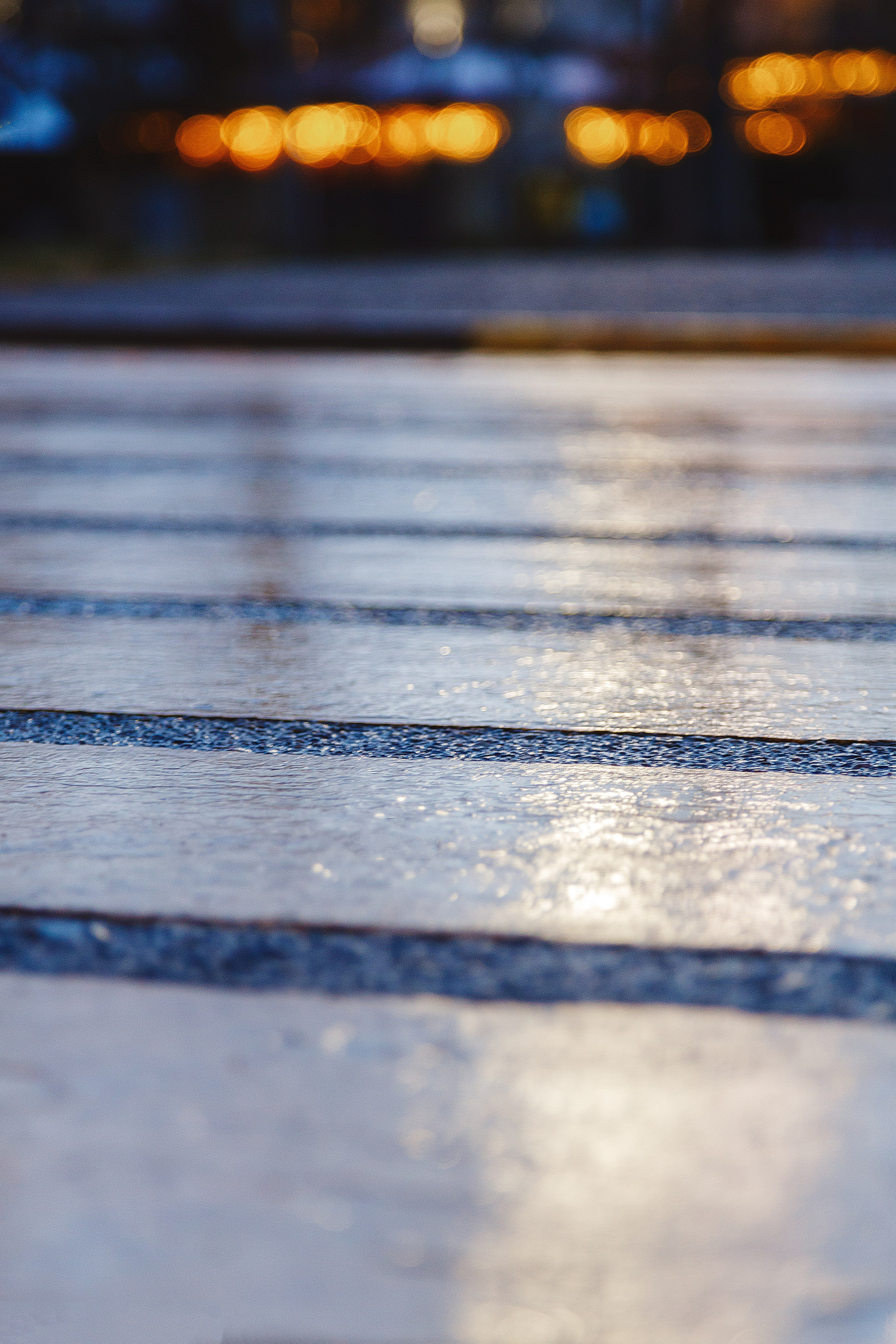 Проект «366»|2024|Фото каждый день. LENA GRACE photographer ||ЛЕНА ГРЭЙС фотограф