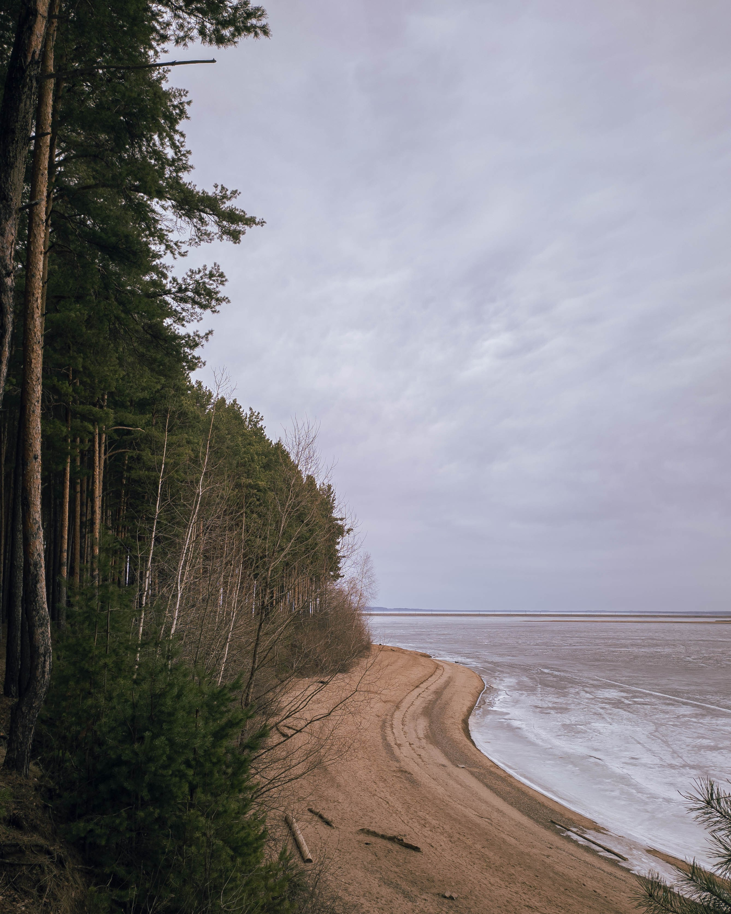 Эстетика ебеней. Олег Романов. Мастер фото по спорту