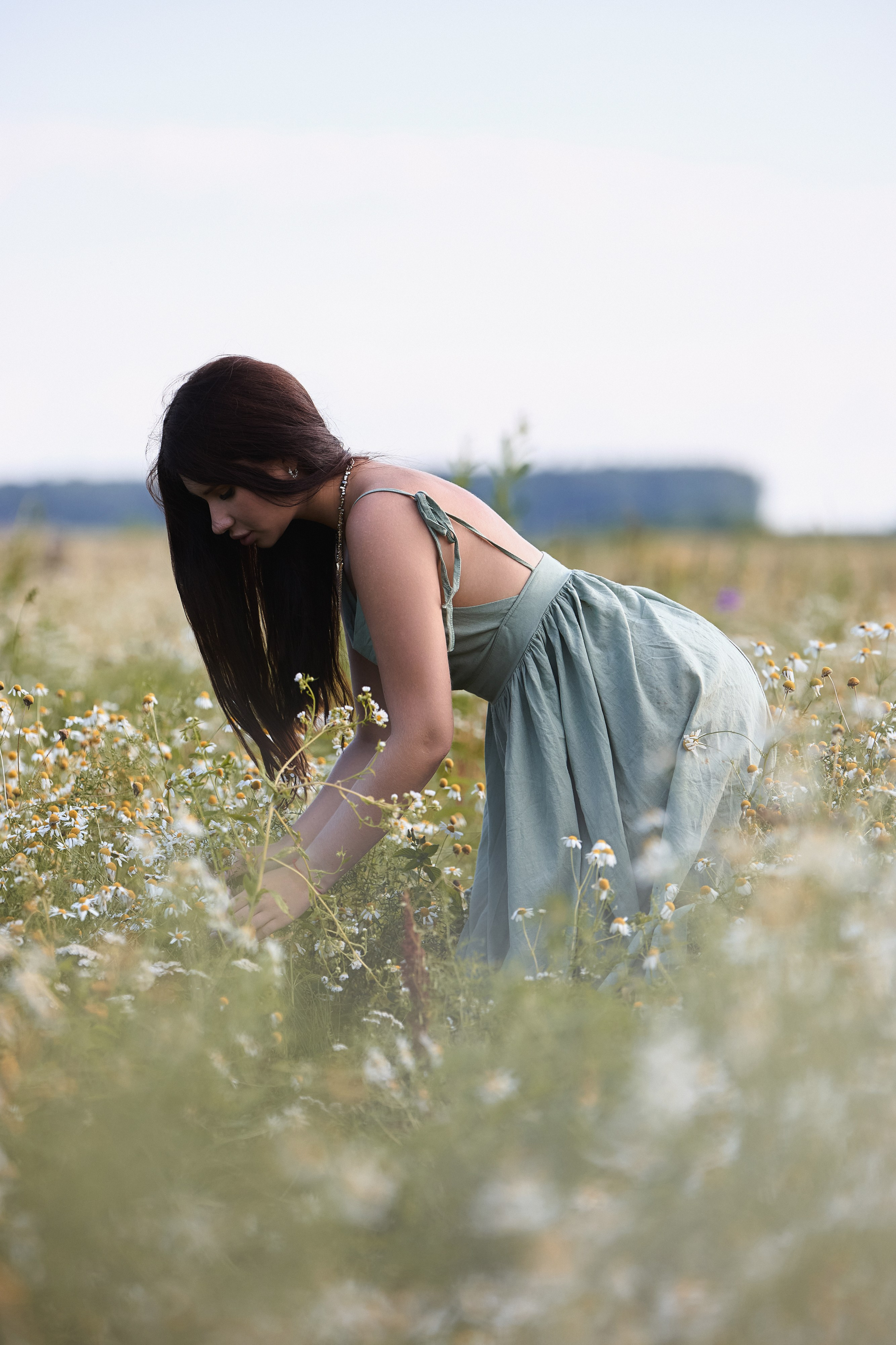 Настя, ромашковое поле. Фотограф Игорь Михайлов