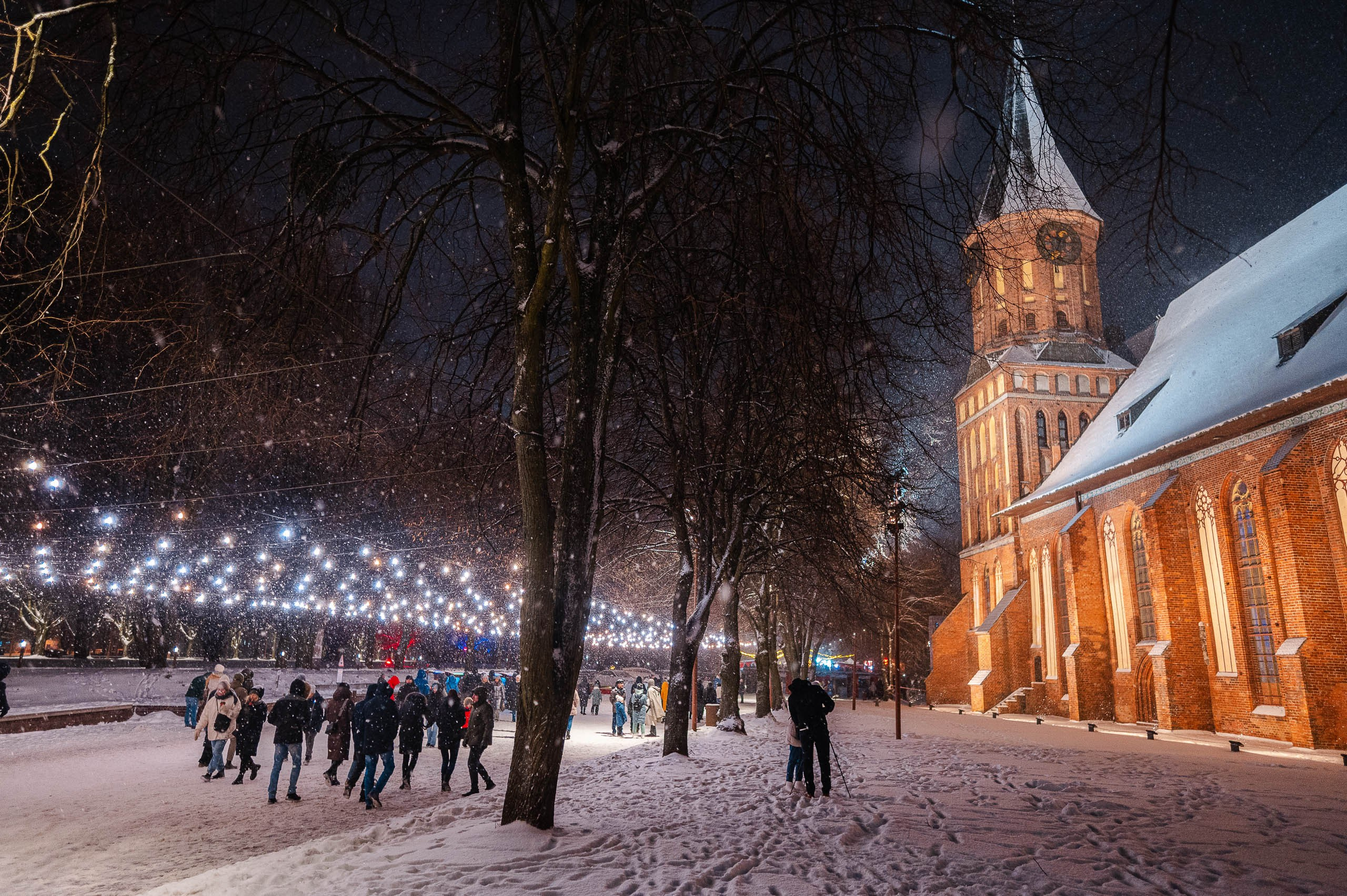 Зимняя Калининградская область. Фотосъемка и видеосъемка в Калининграде Liveemotion.pro