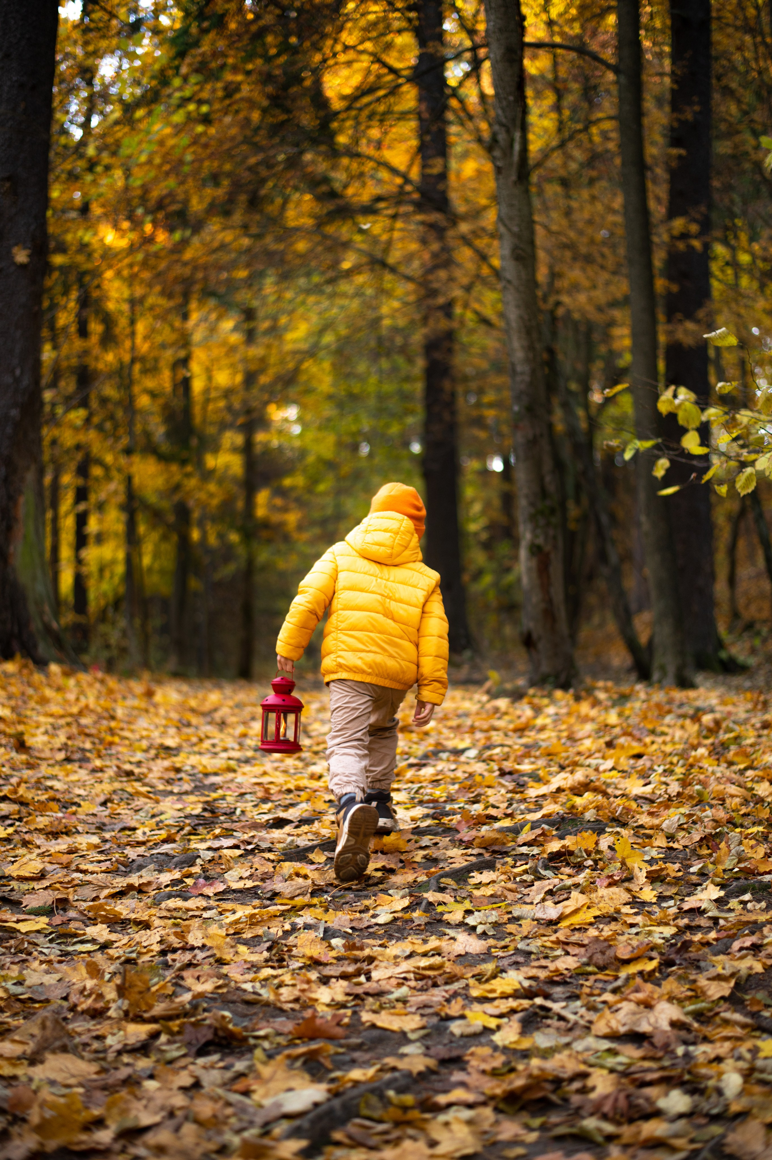 Осень в Шуваловском парке. Фотограф Санкт-Петербург | Дарья Першина