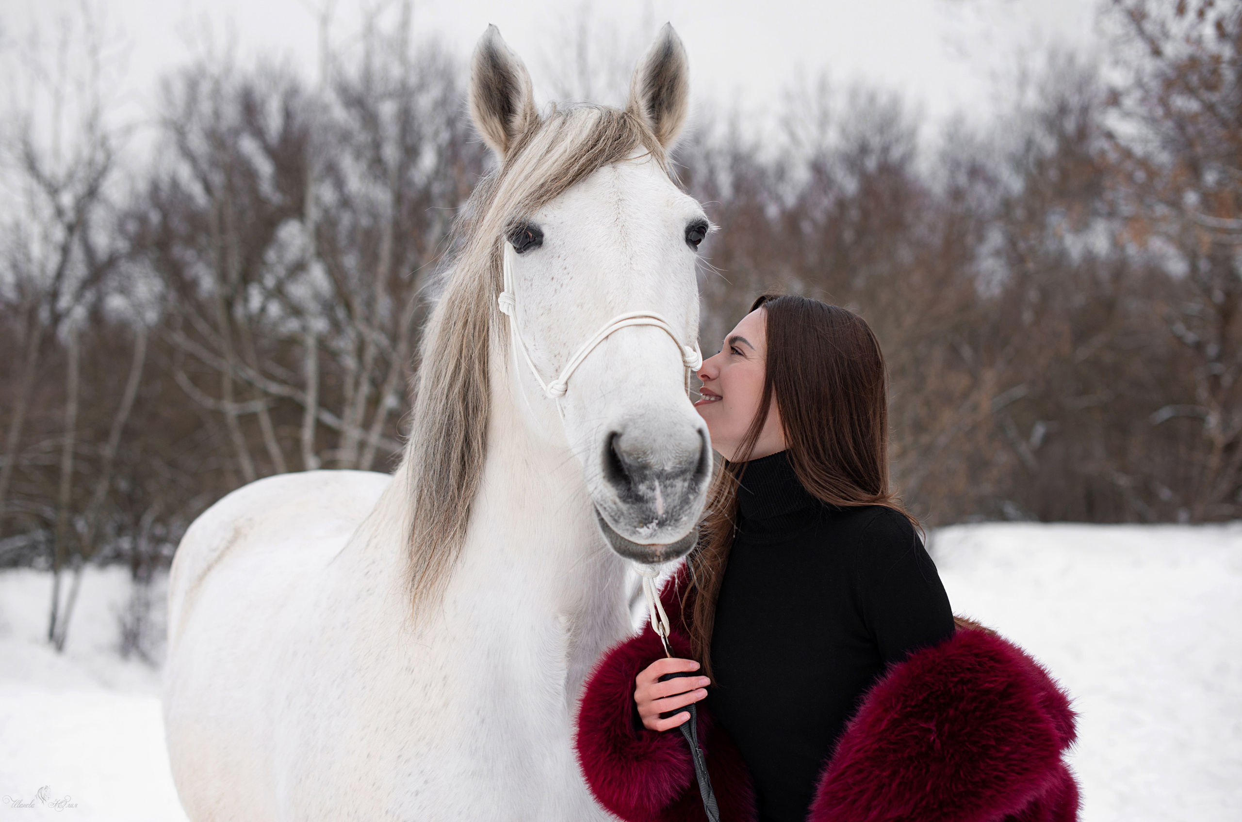 Кристина и Стрелка. Конный фотограф в Саратове Юлия Иванова