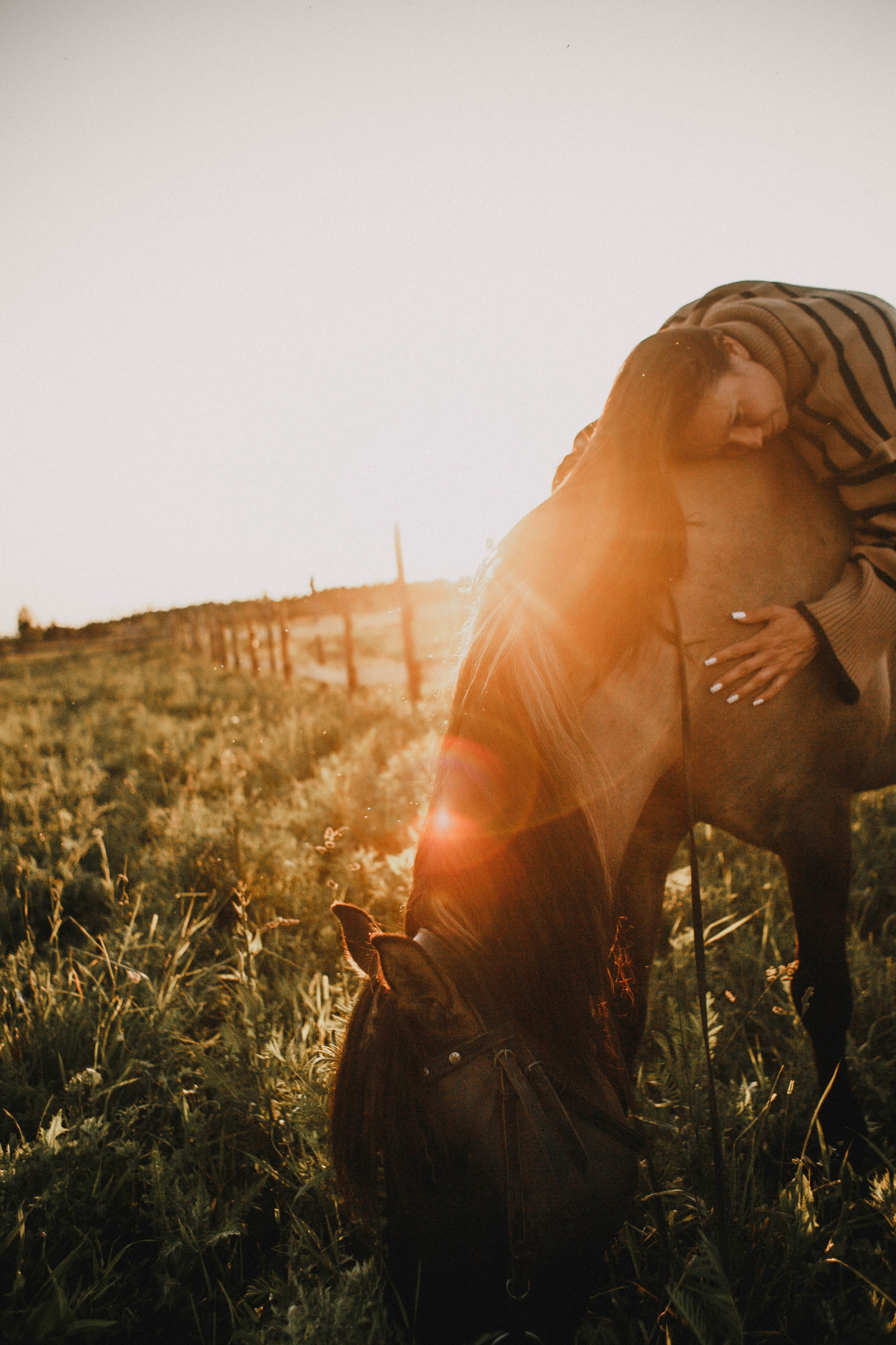 Варвара. Лошади. Закат. Фотограф в Нижнем Новгороде