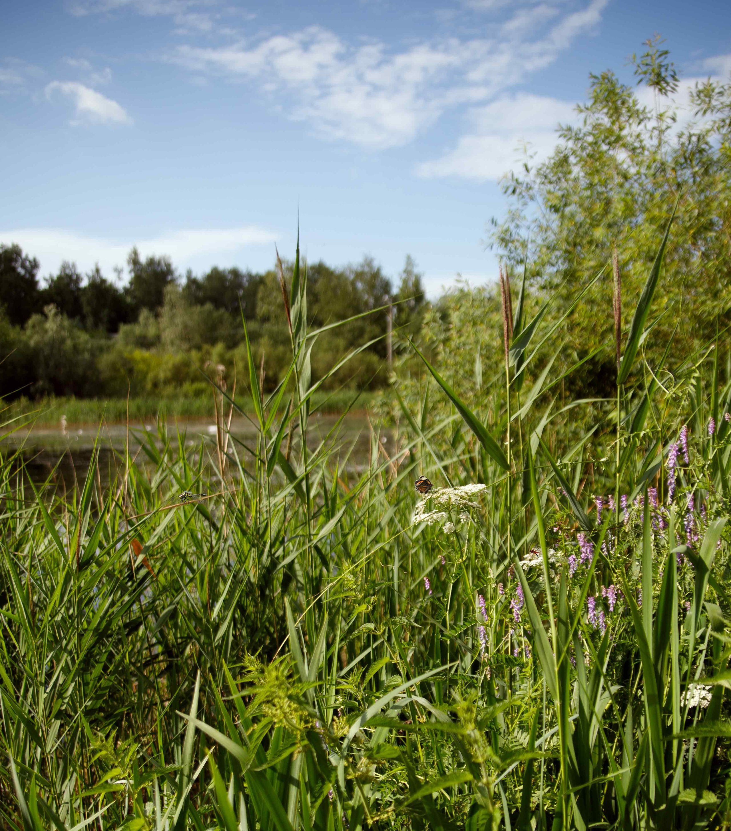 В русском стиле. Семейный, свадебный и детский фотограф в Новосибирске Ольга Хидченко