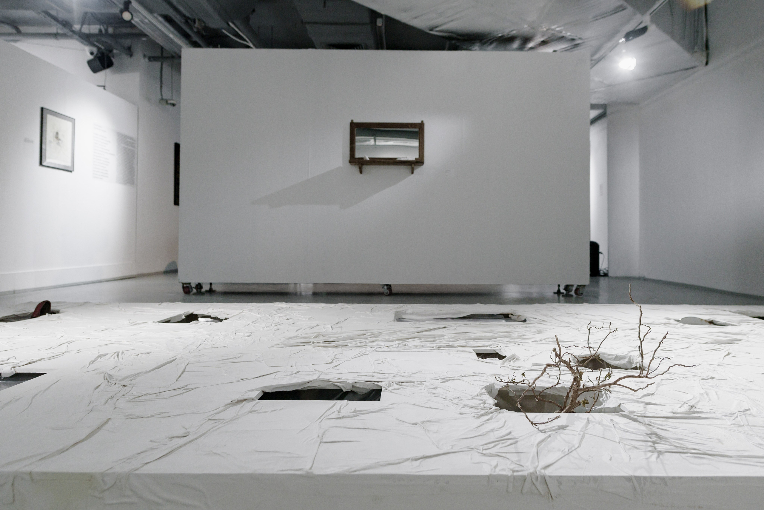 Выставки. Фотограф Руслан Хафизов