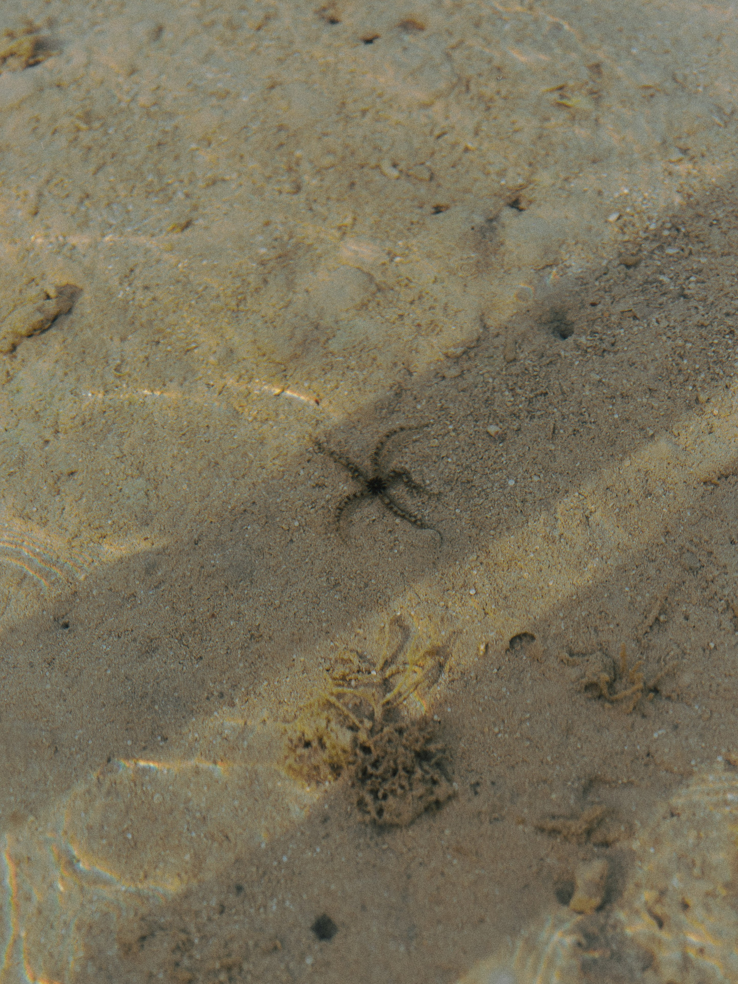 Диптих. Jorgis — фотограф в Хургаде / обучение фотографии