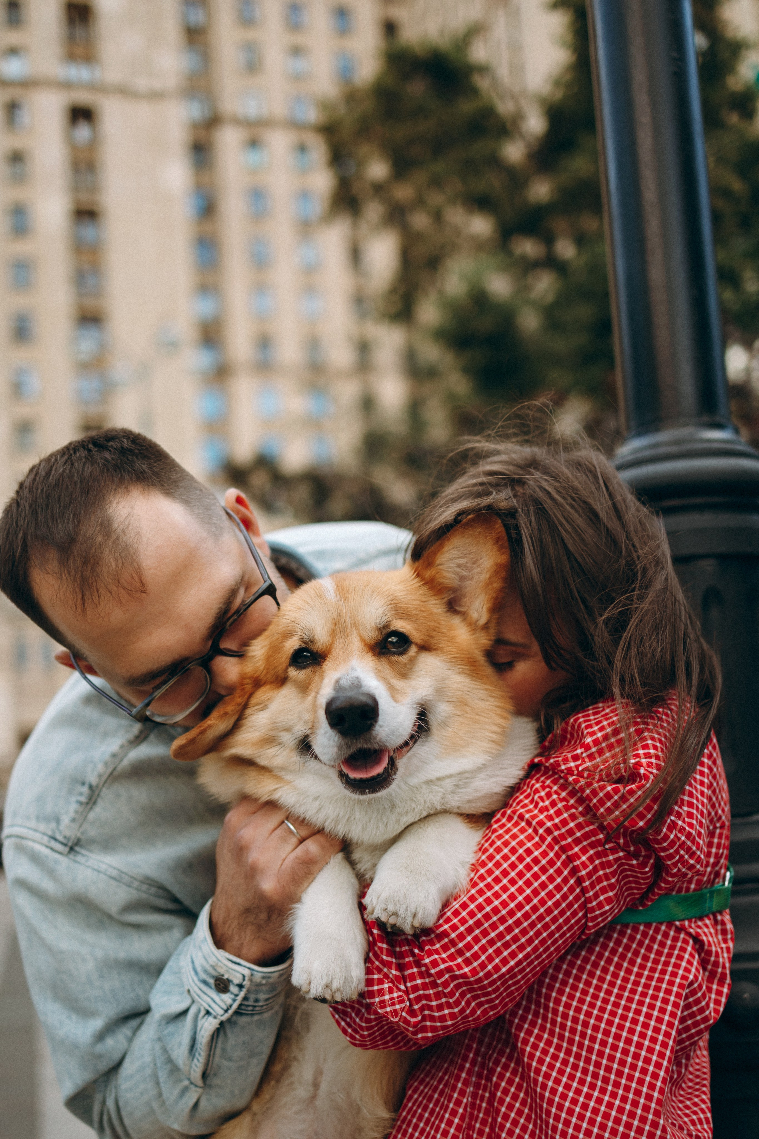 Момо, Люда и Эд. Фотограф анималист Анастасия Пикей