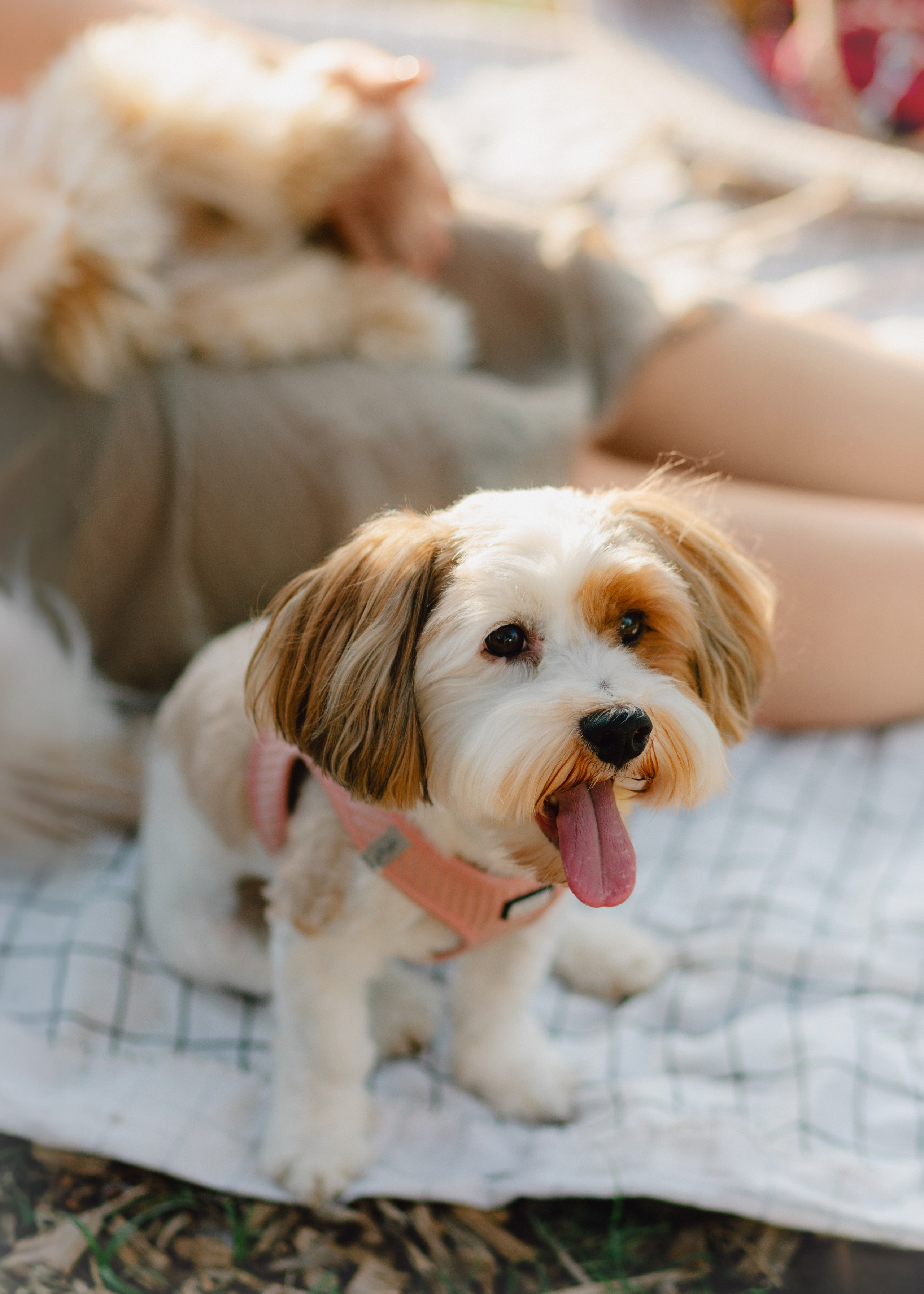 J&J Family. Barbara Isaeva