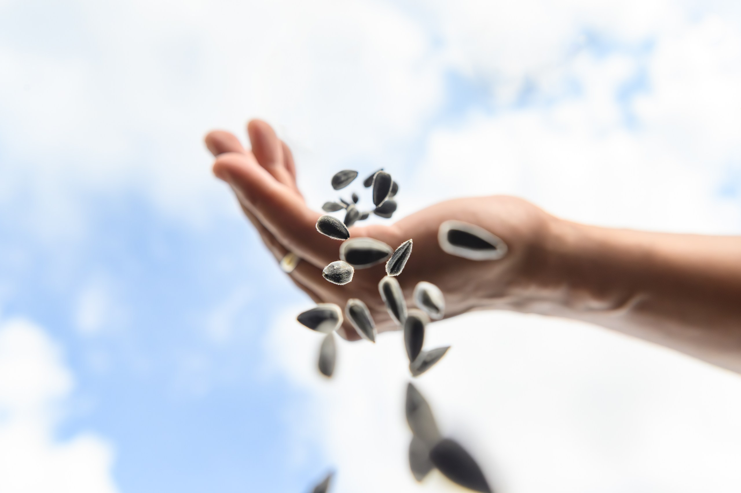 Проекты. Профессиональный фотограф Вячеслав Плацында | Липецк |