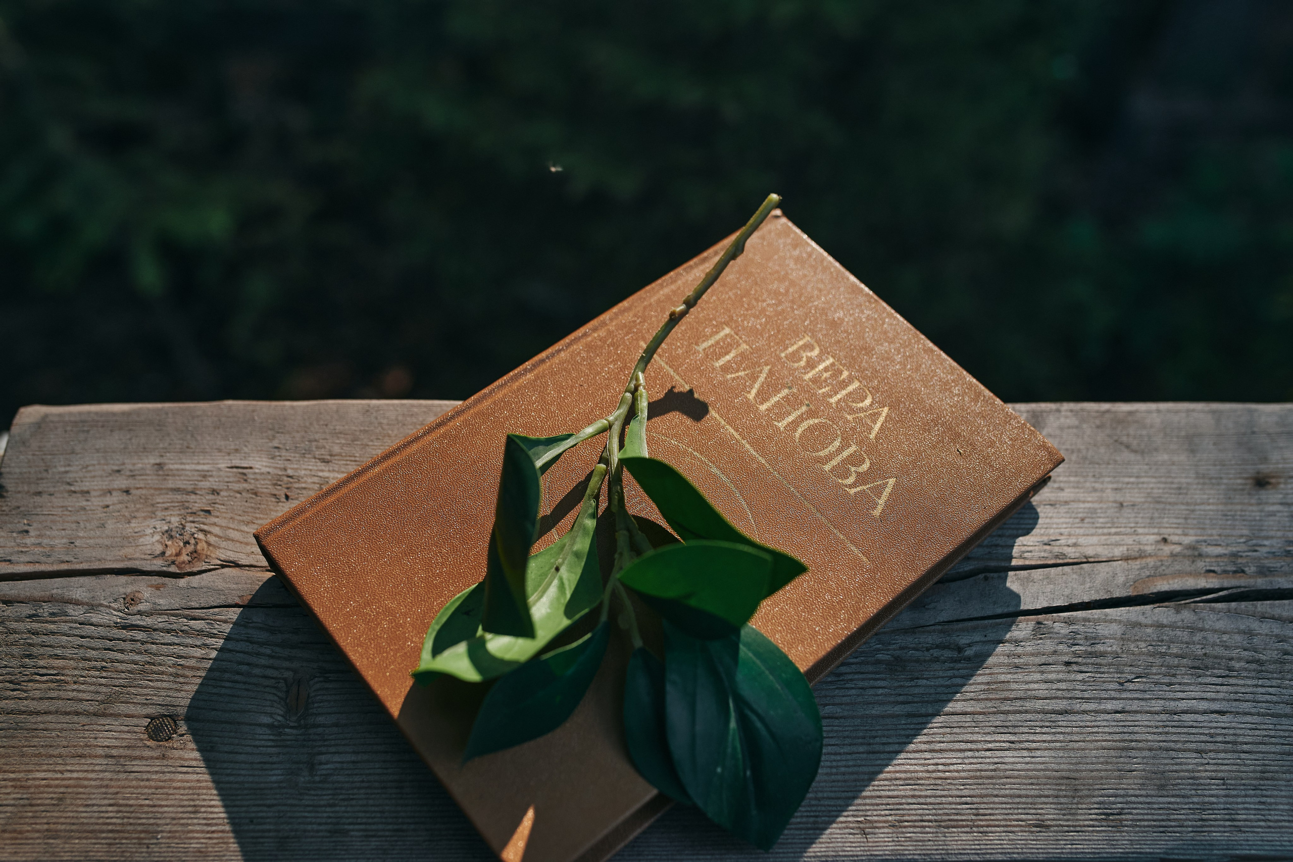 В зачарованном саду. Фотограф Слава Кайгородов