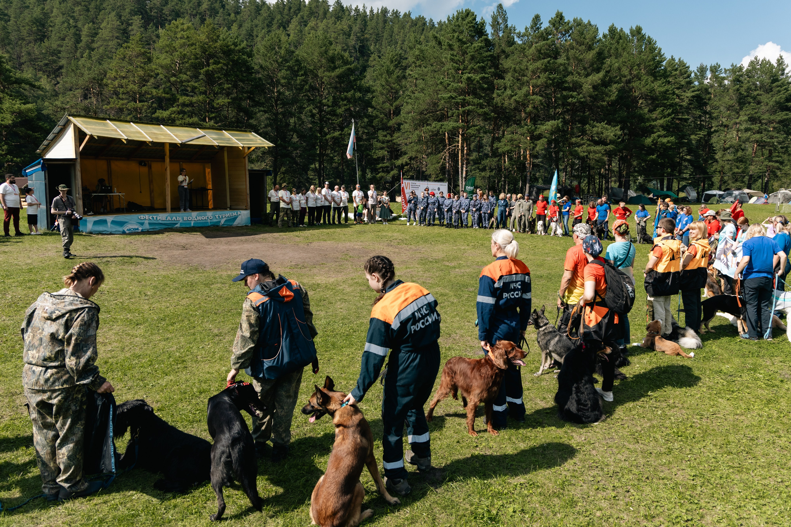 VI ОТКРЫТЫЕ КИНОЛОГИЧЕСКИЕ СОРЕВНОВАНИЯ. ЧЕЛЯБИНСКАЯ ОБЛАСТЬ 2025. Репортажный фотограф Наталья Лапцевич