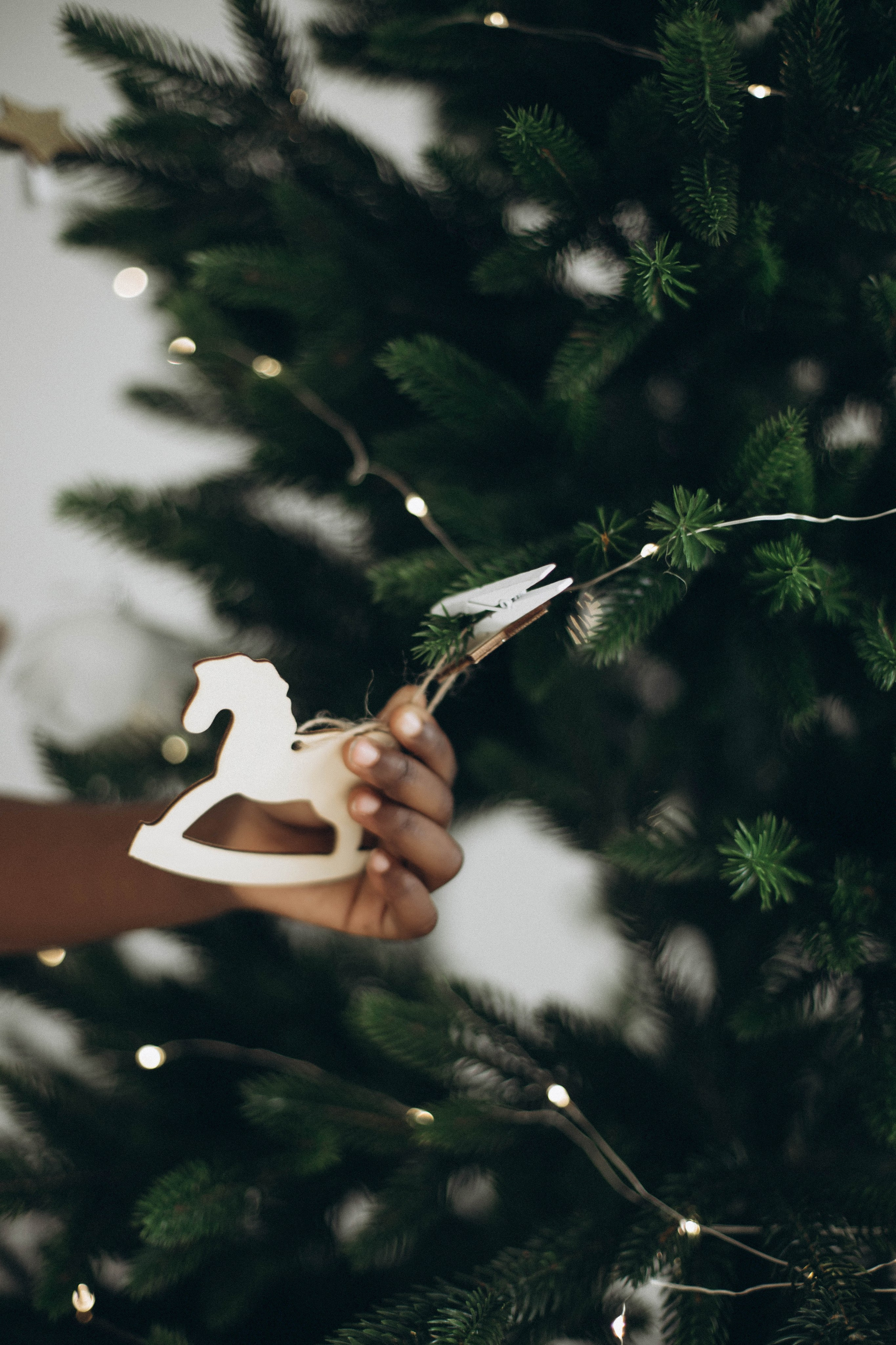 Шеридан. Портретный и свадебный фотограф в Астрахани Сабира Аубекерова