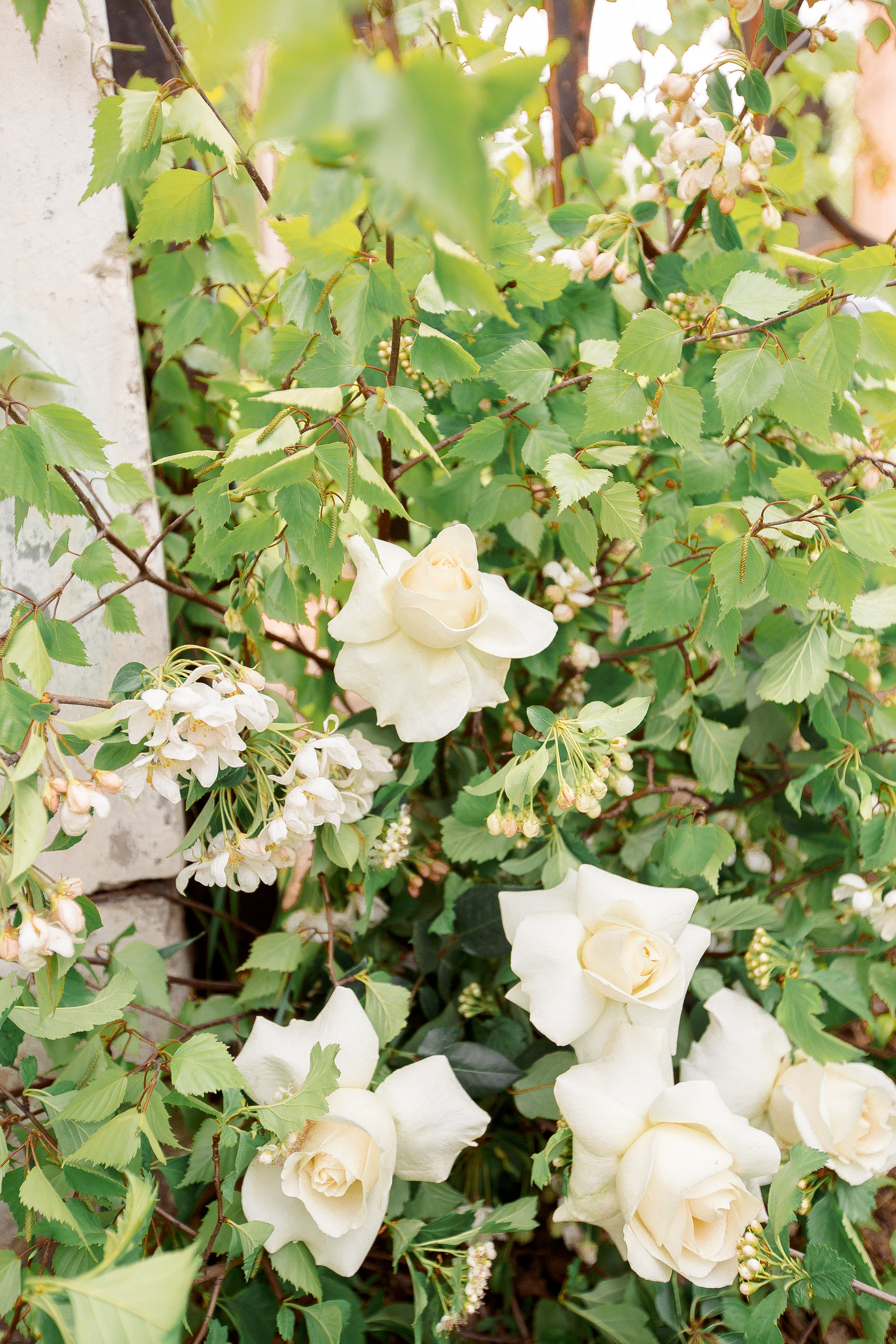 Катя и Сергей. Свадебный и женский фотограф