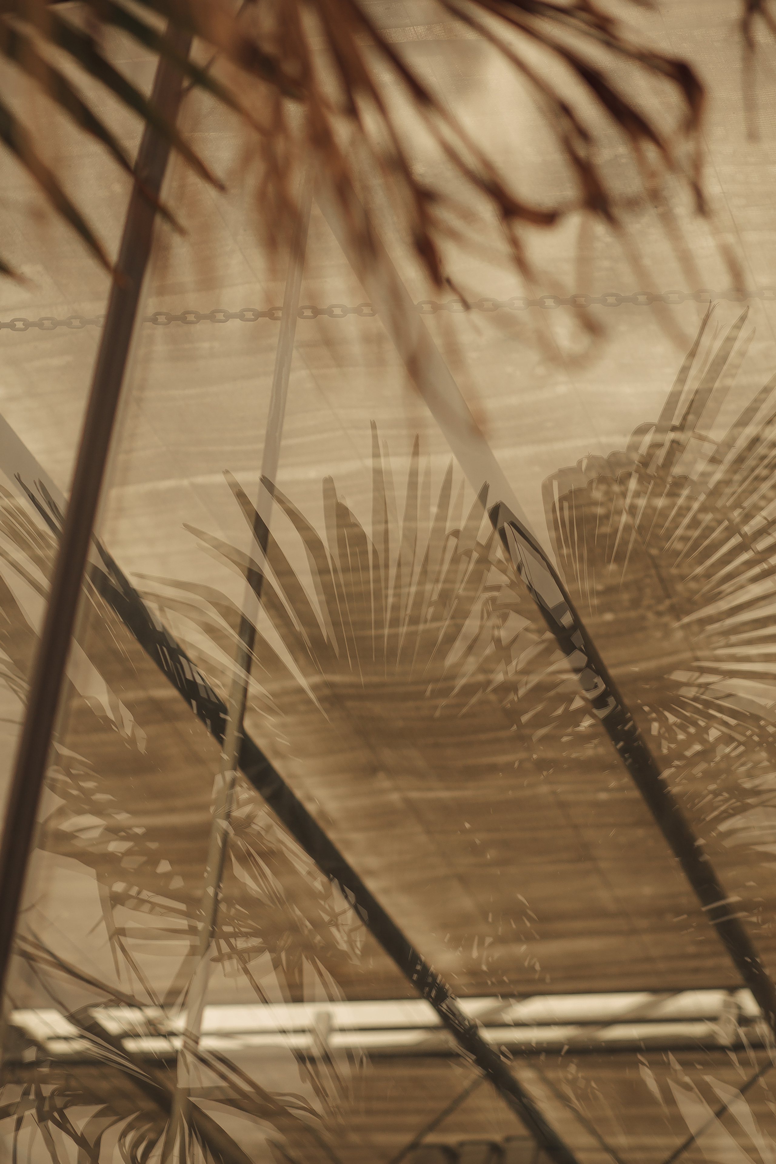 Афро. Свадебный и женский фотограф