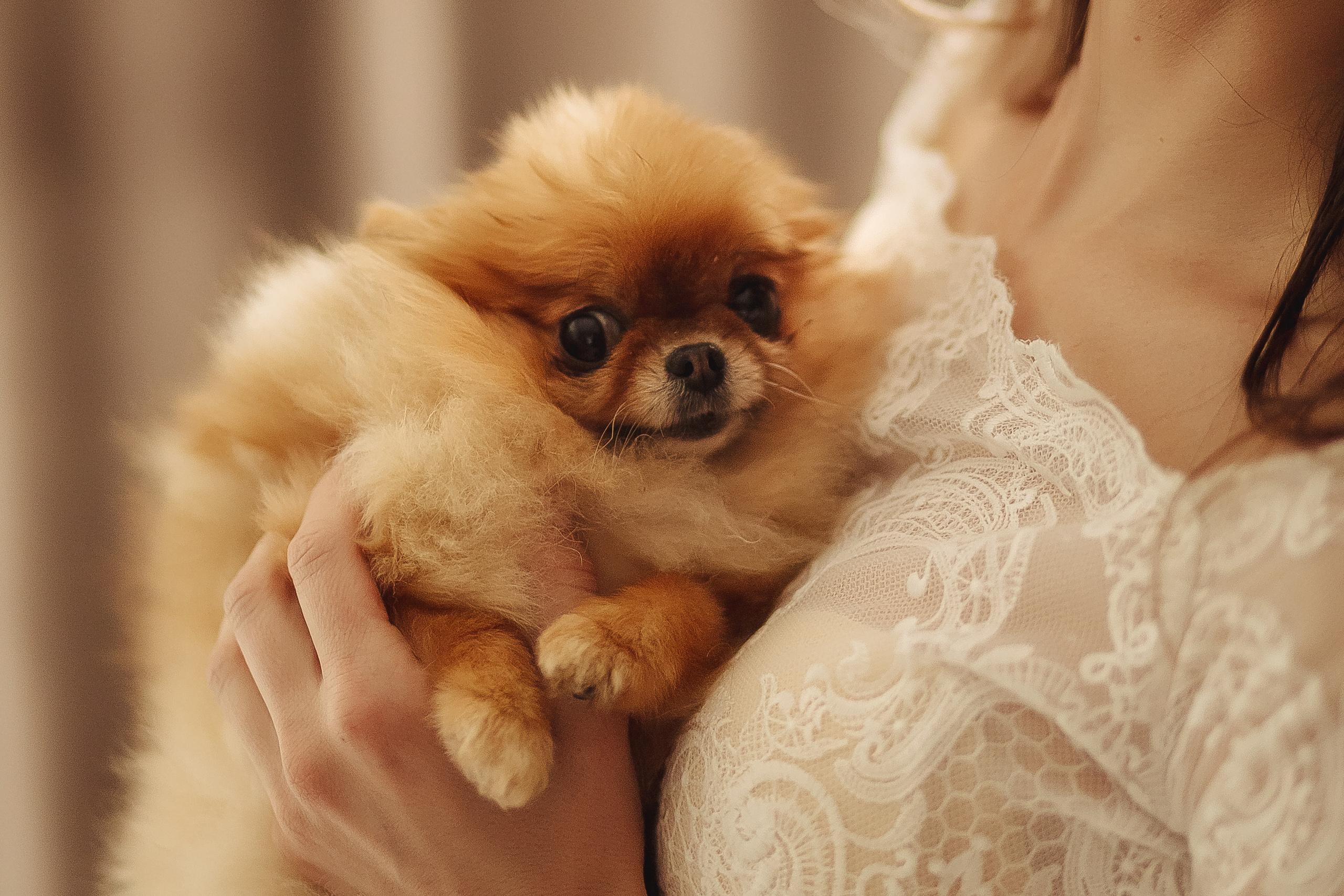 Аня и Стас. Свадебный и женский фотограф