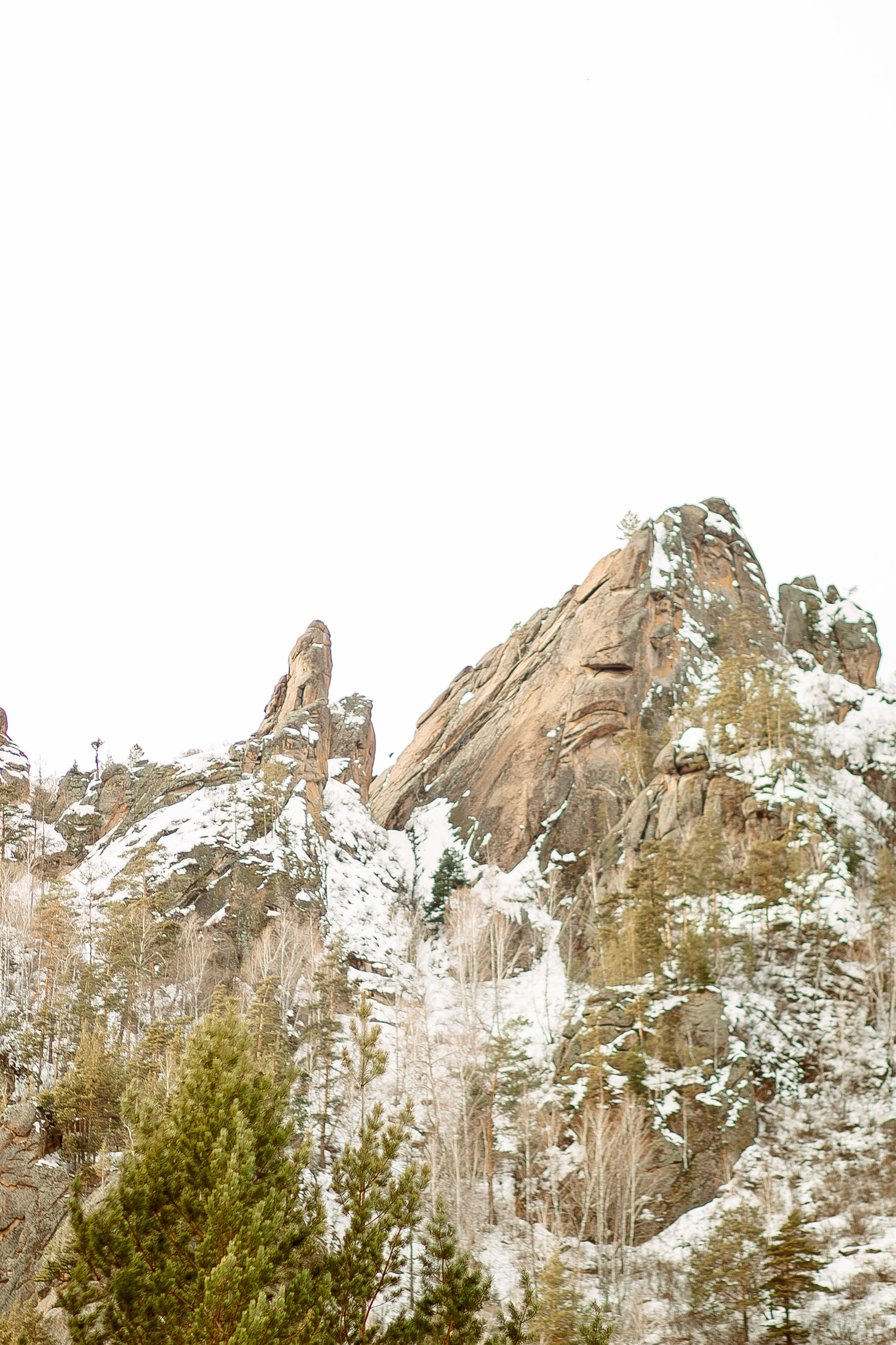 Даша и Саша. Свадебный и женский фотограф