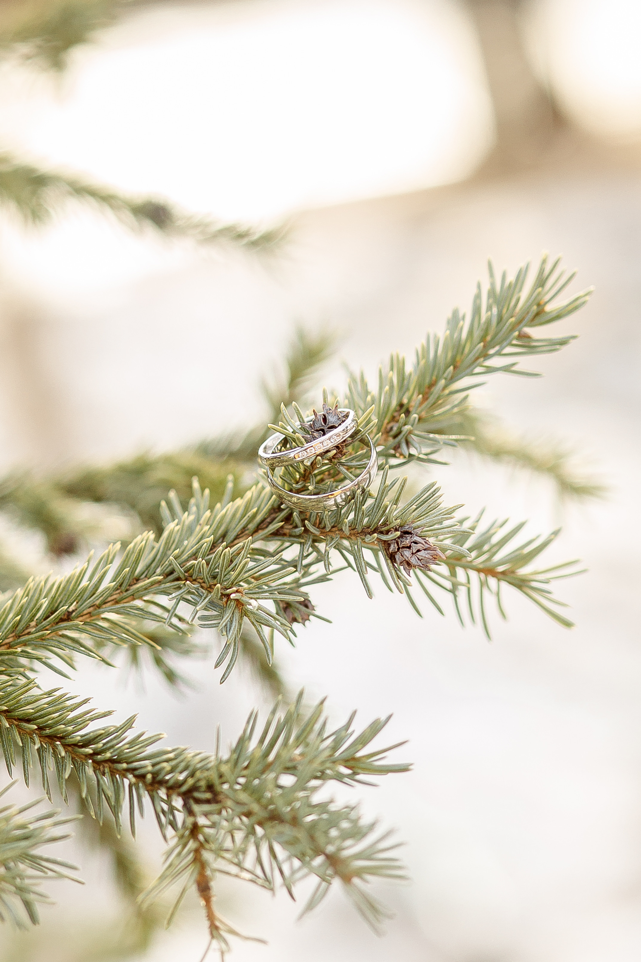 Даша и Саша. Свадебный и женский фотограф