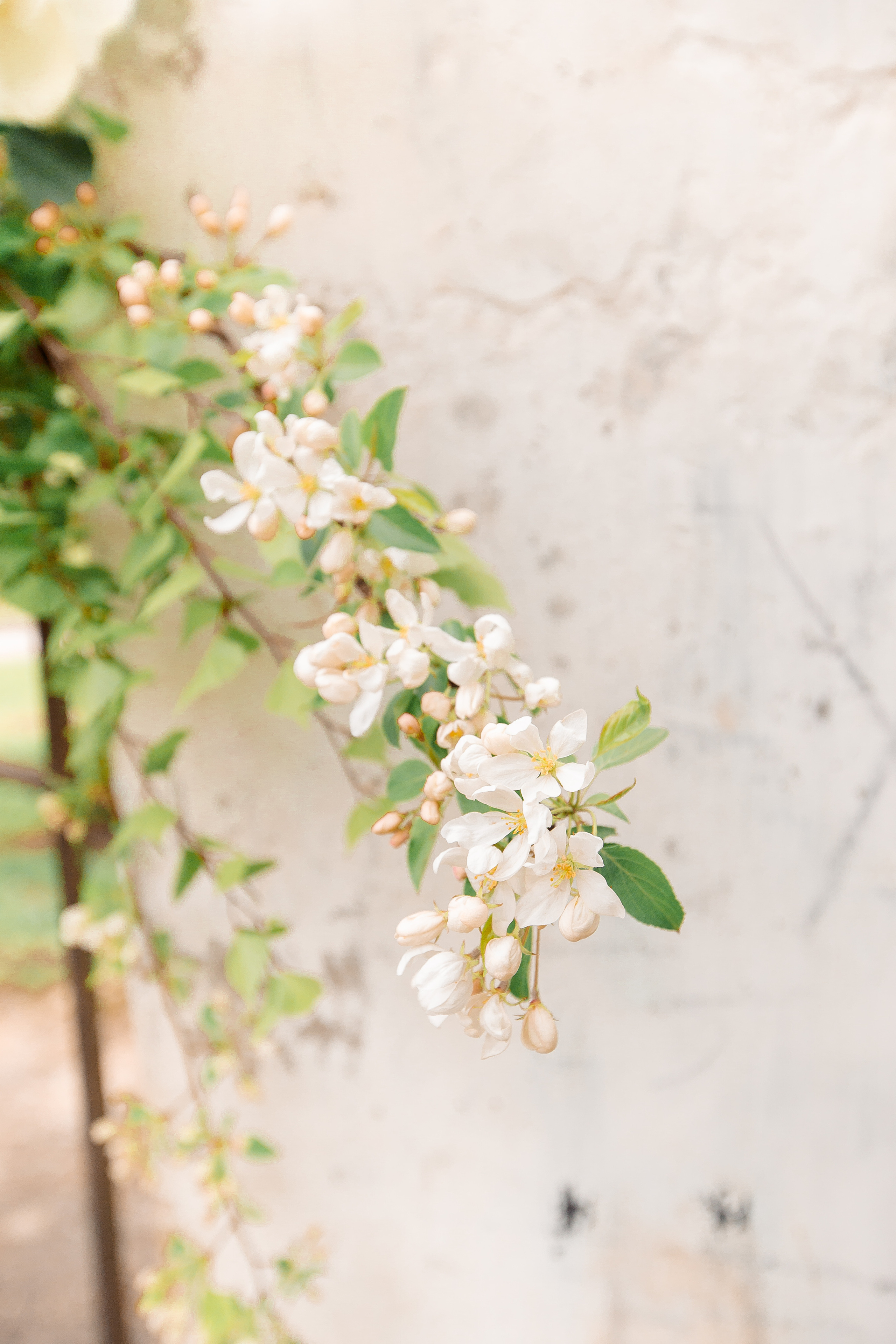 Катя и Сергей. Свадебный и женский фотограф