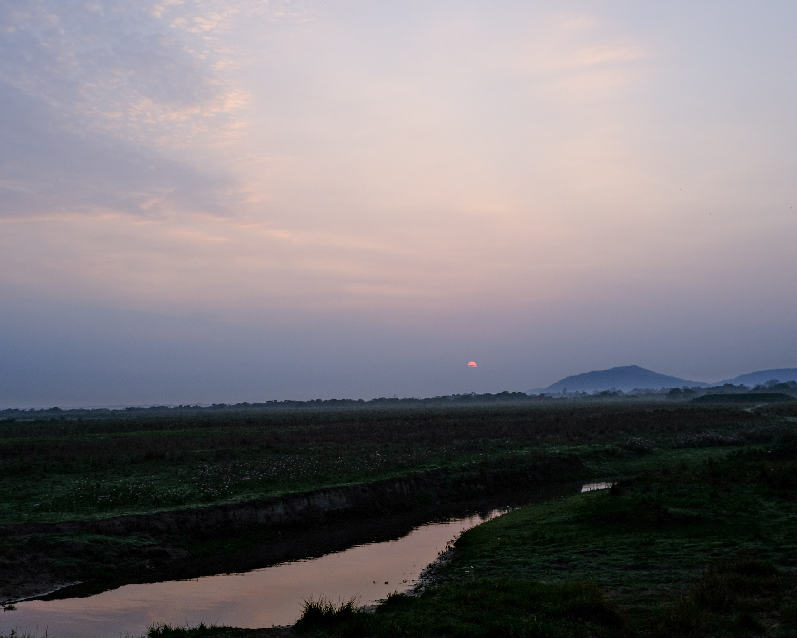 Ассам и Казиранга. Фотографии из путешествий