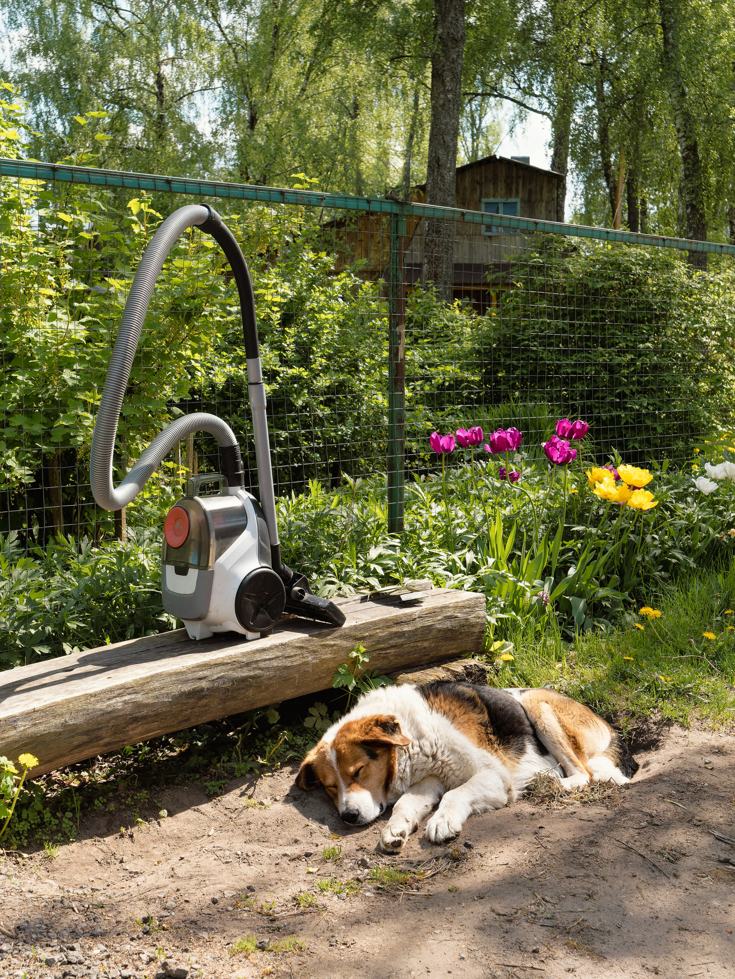 На берегу Угры. Конец мая 2024 года. Фотограф Никифоров-Гордеев Сергей. Москва и МО