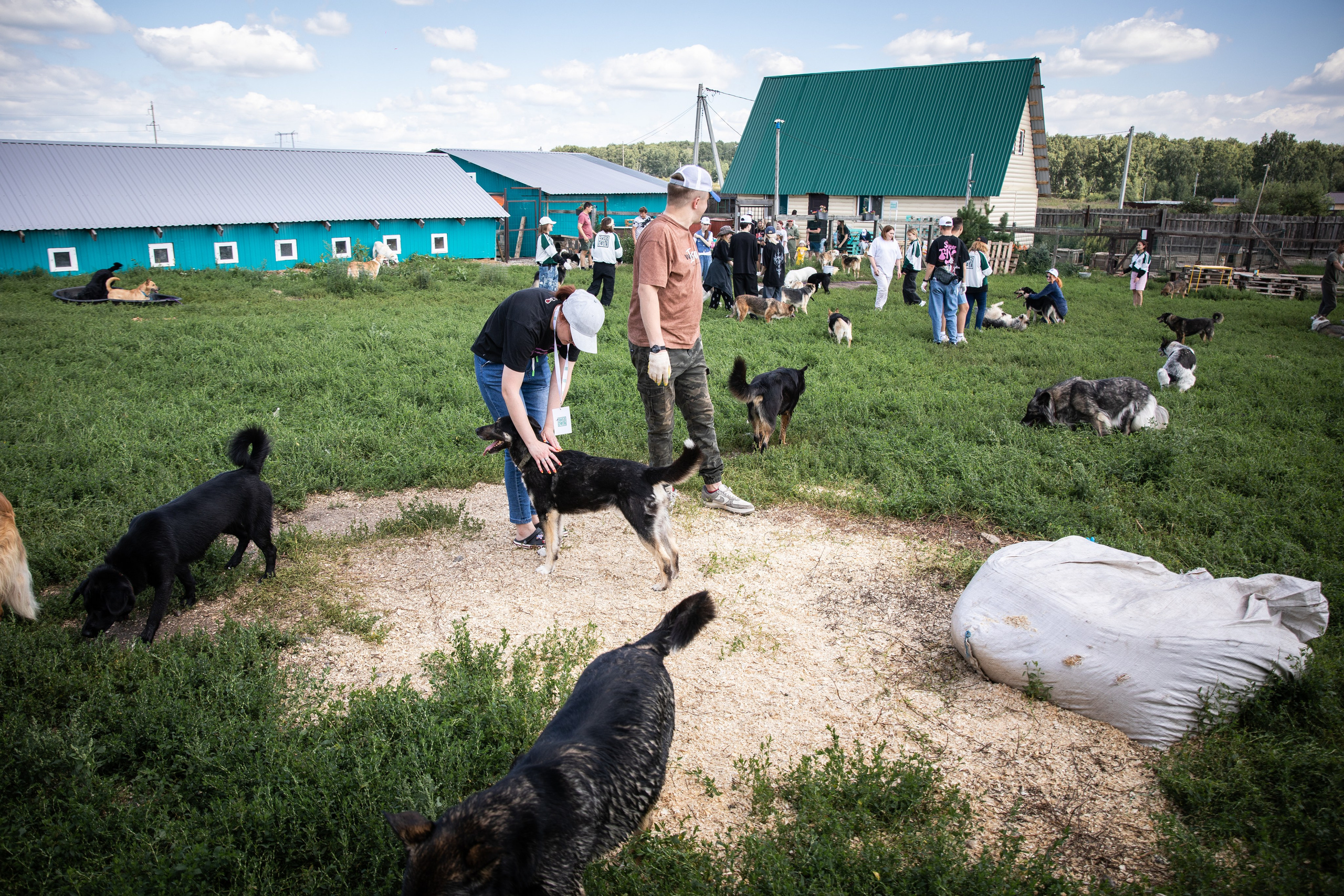 Приют — Наш дом. Репортажный и свадебный фотограф в Челябинске Елисеев Павел