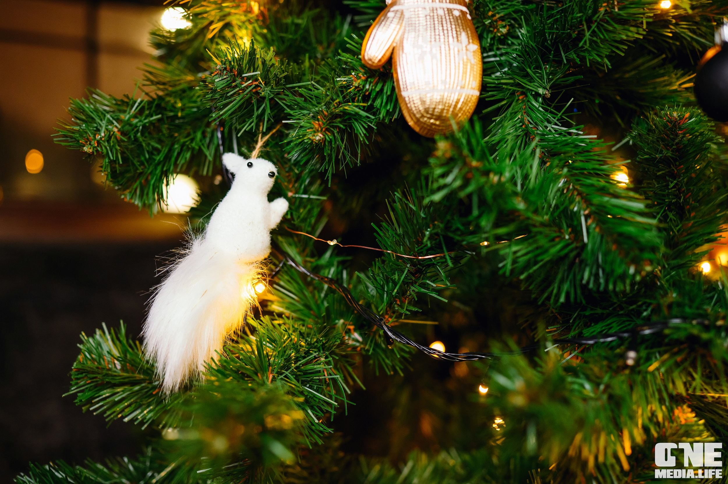 Фоторепортаж из Dreadnought. One Media Life: фоторепортажи, фотоотчеты с мероприятий и заведений