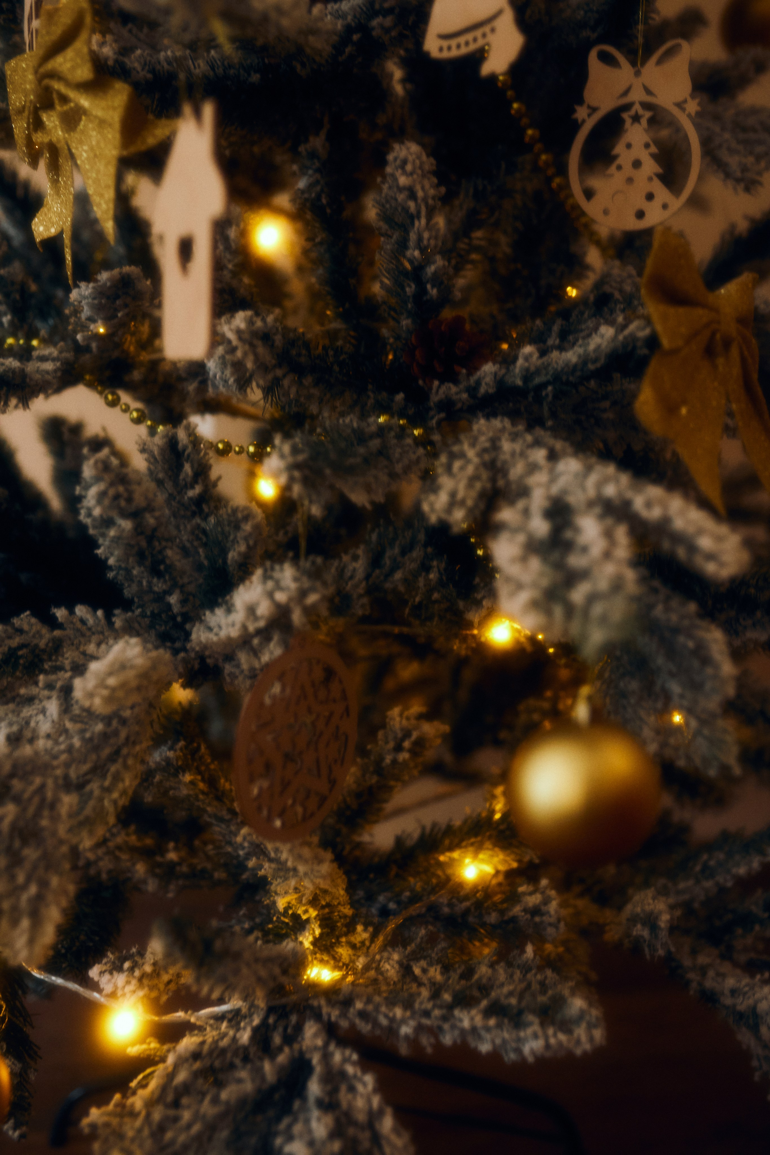 Домашний уют. Фотограф Ионова Анастасия, г Владивосток